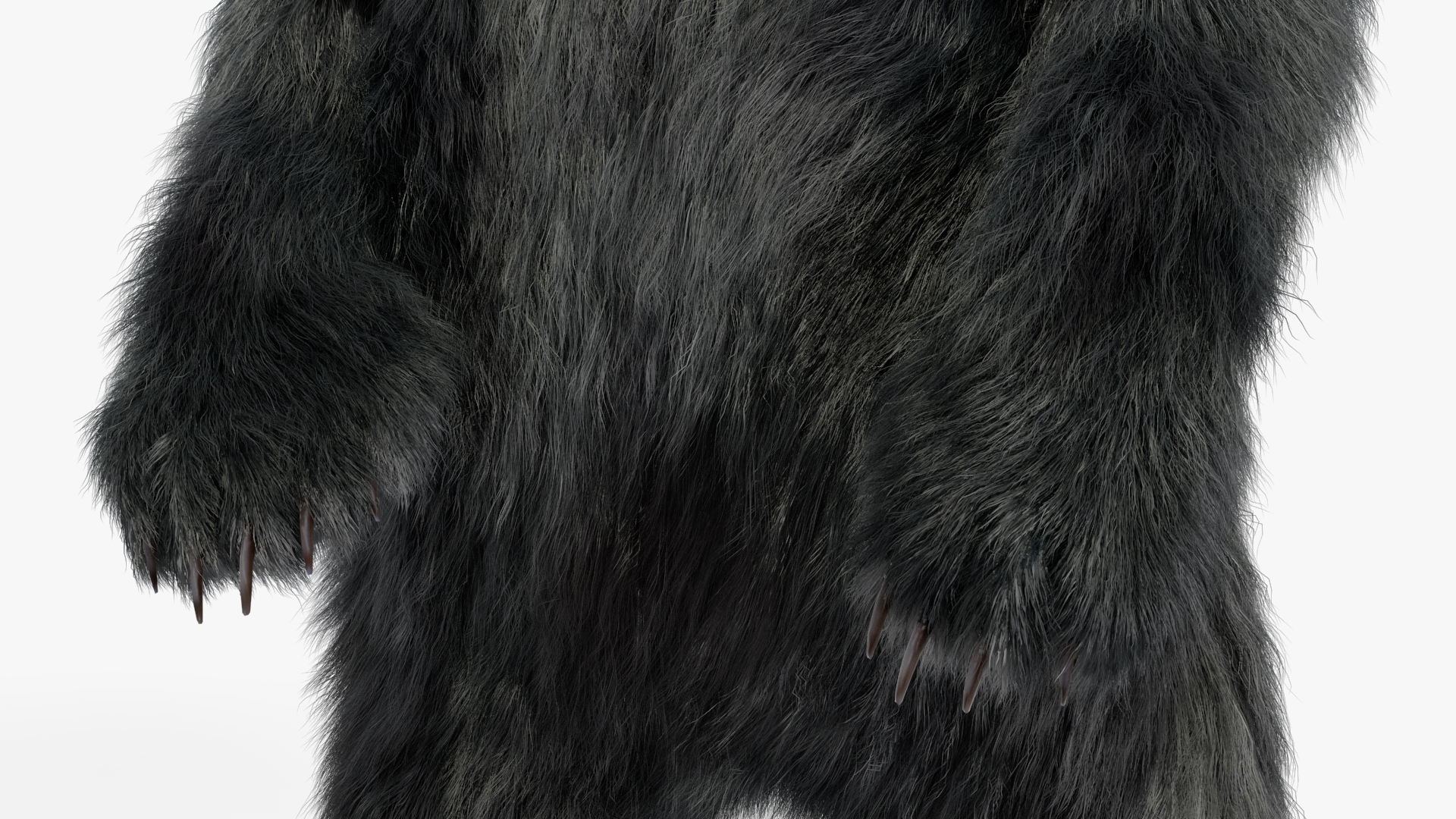 Standing Young Black Bear Fur 3D model