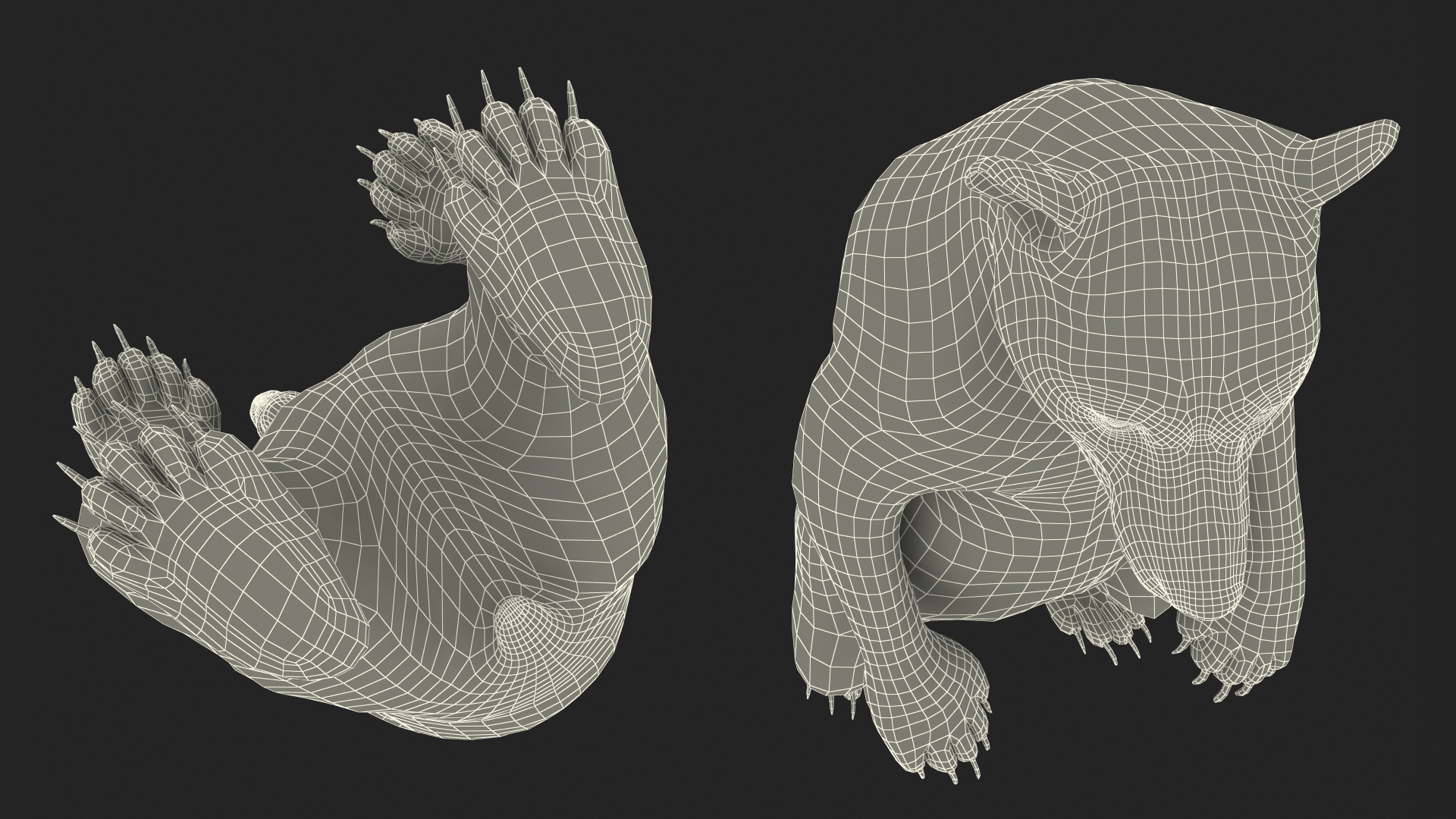Standing Young Black Bear Fur 3D model