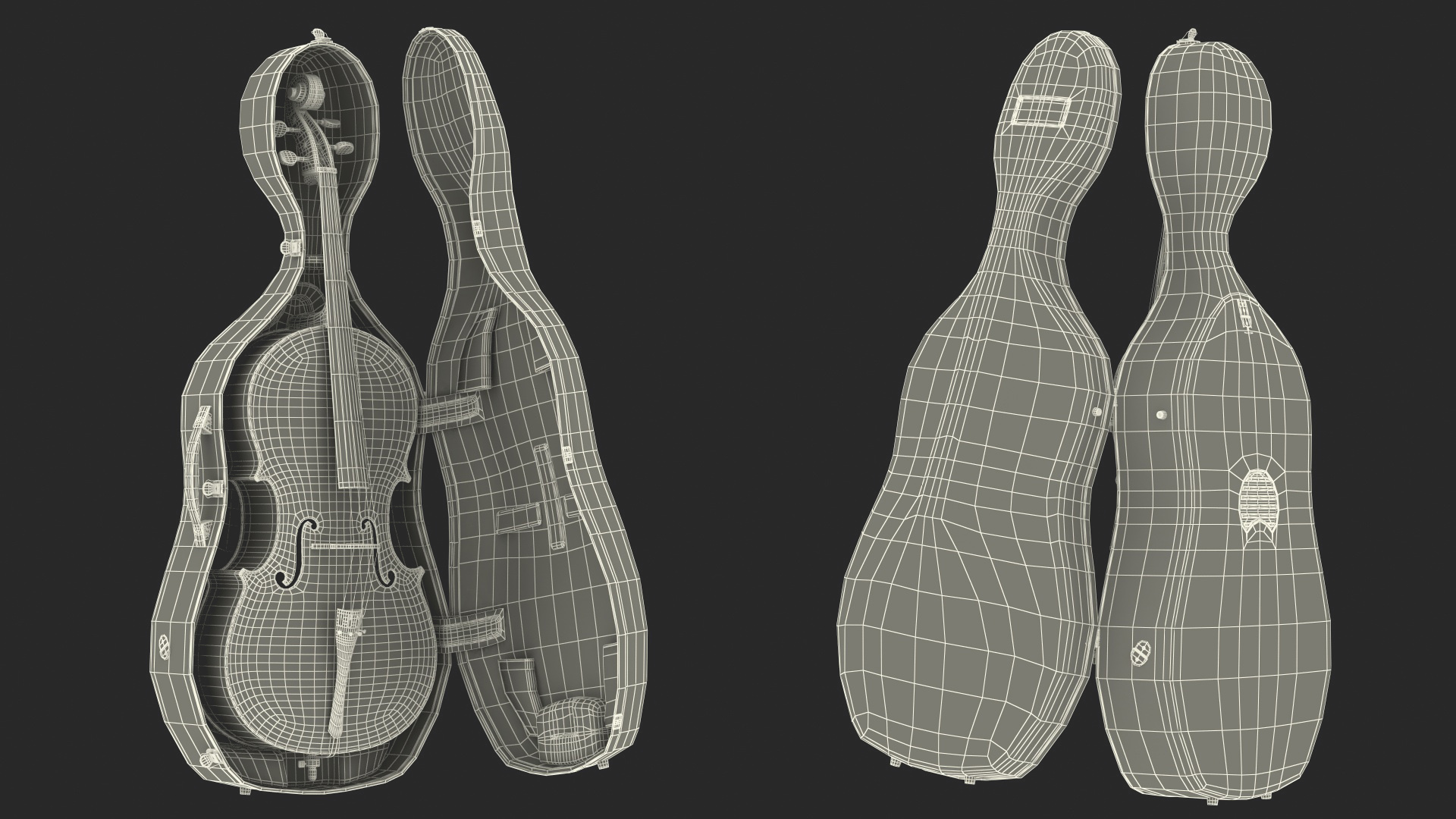 3D Cello Carbon Fiber Hard Case model