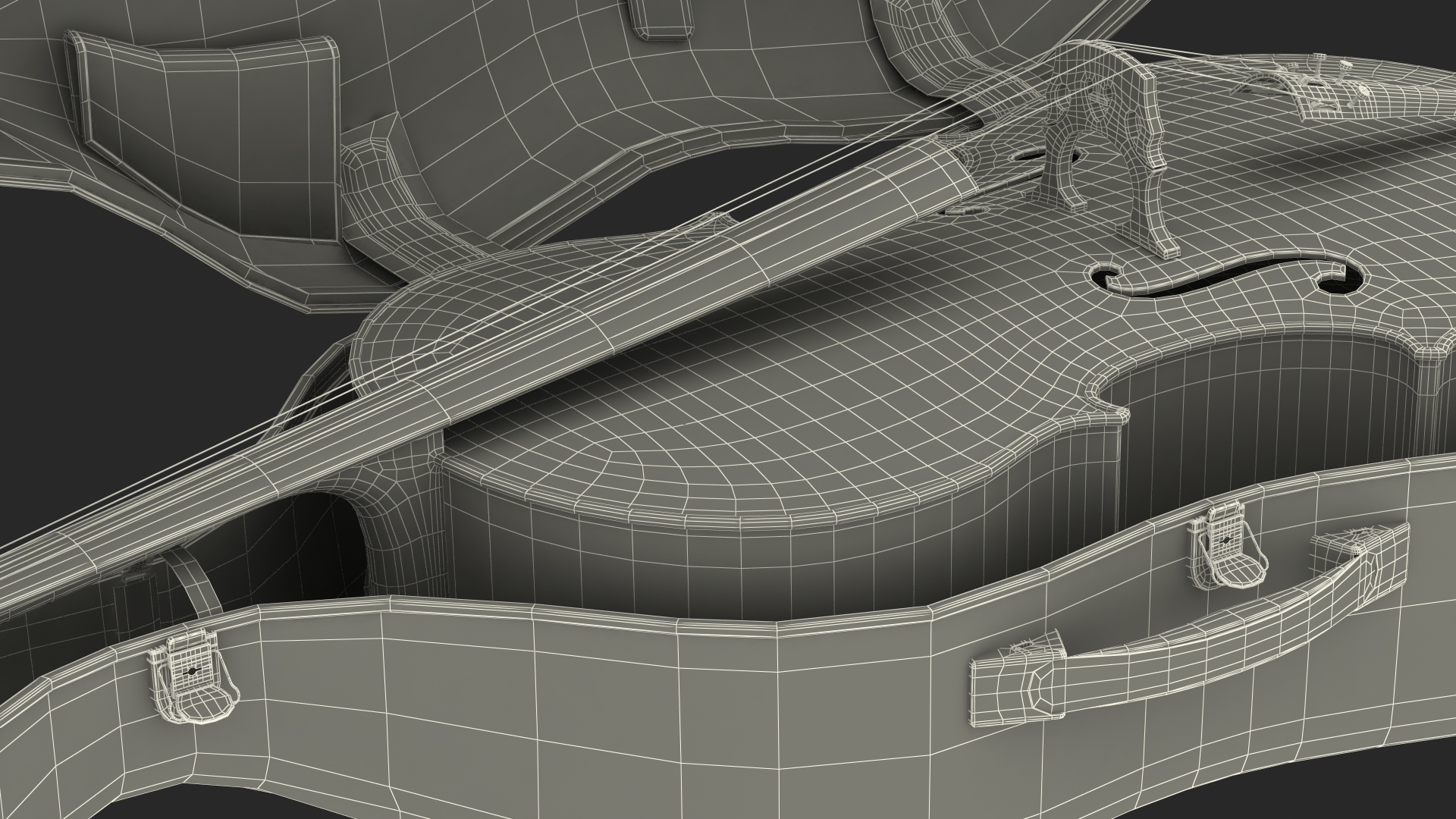 3D Cello Carbon Fiber Hard Case model