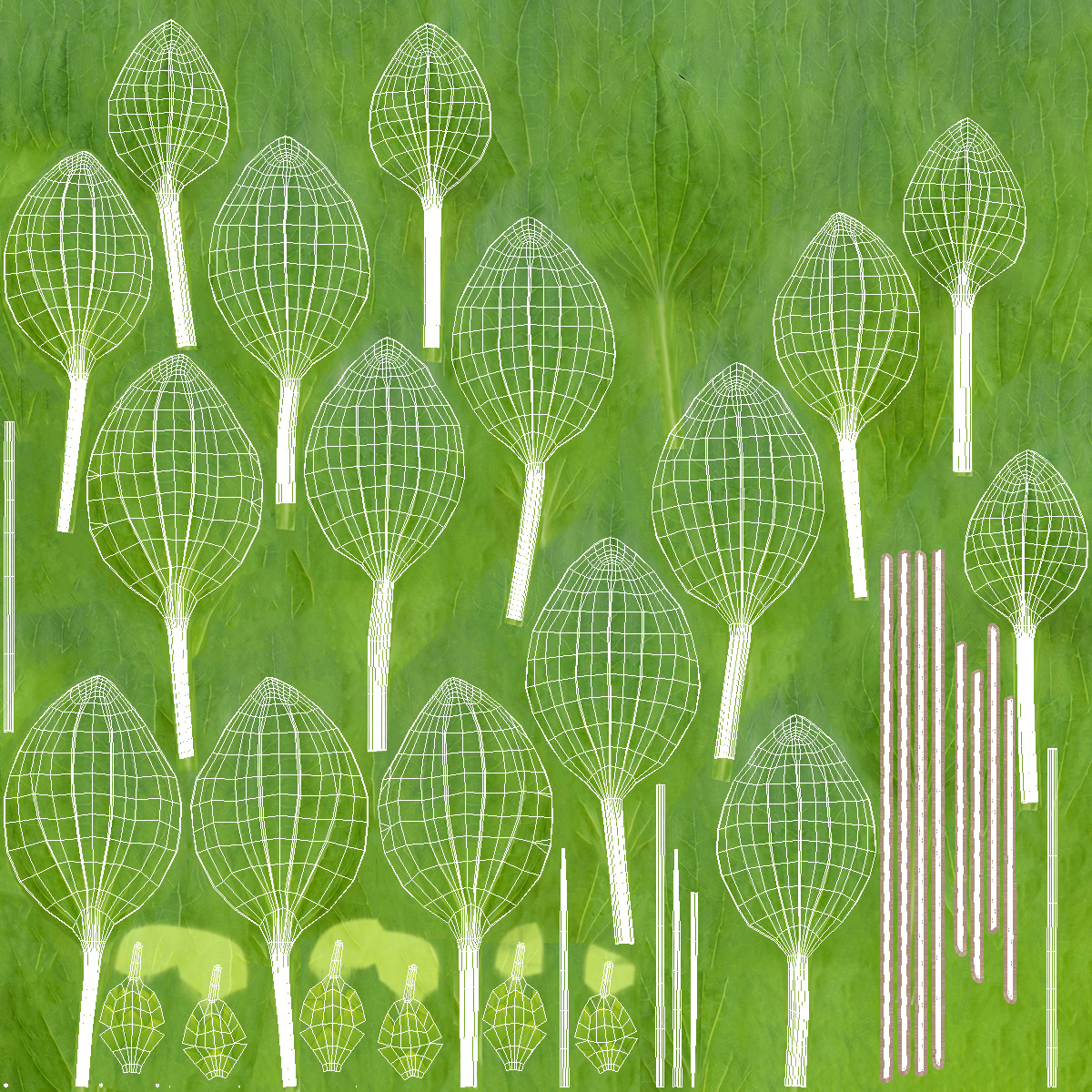 Broadleaf Plantain Herb Plant 3D model