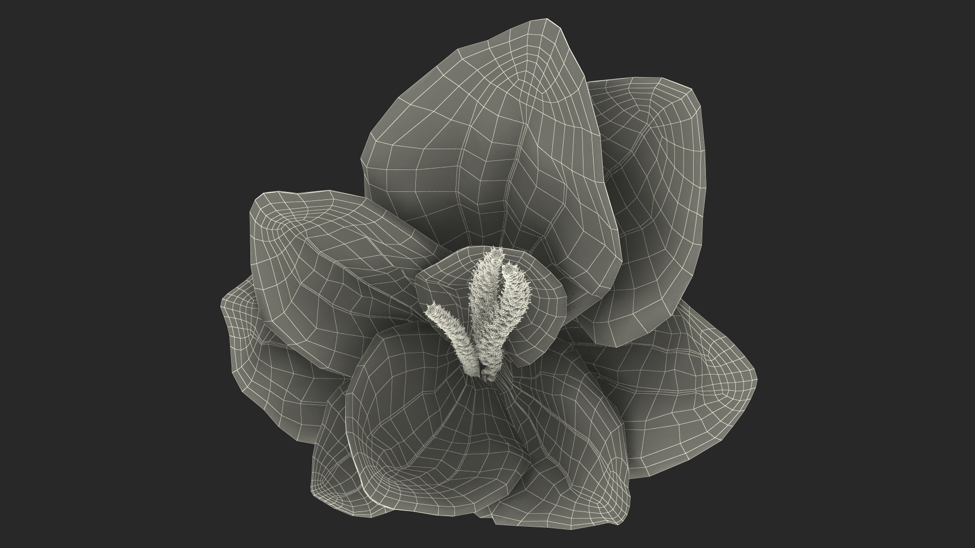 Broadleaf Plantain Herb Plant 3D model