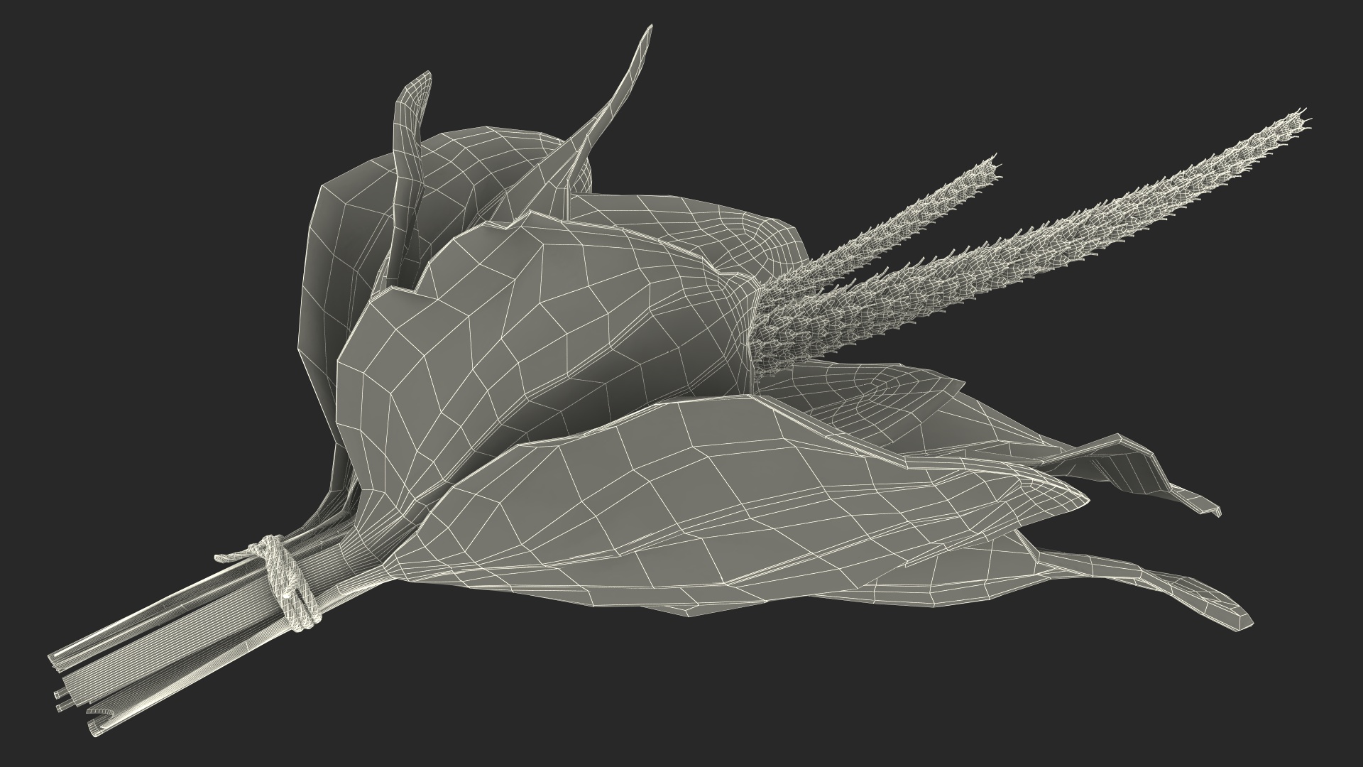 Broadleaf Plantain Herb Plant 3D model