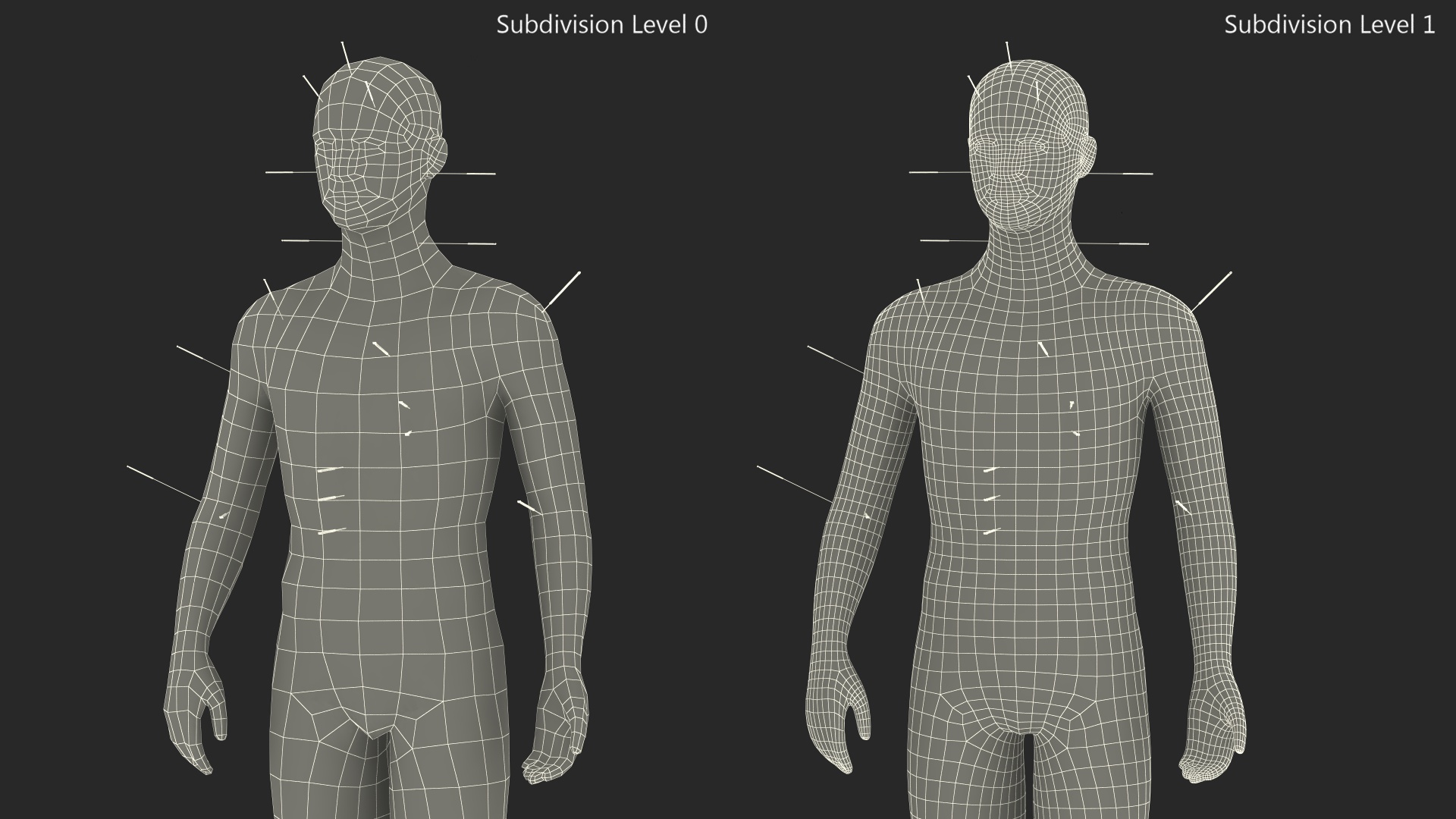 3D Male Acupuncture Anatomy Chart with Needles model