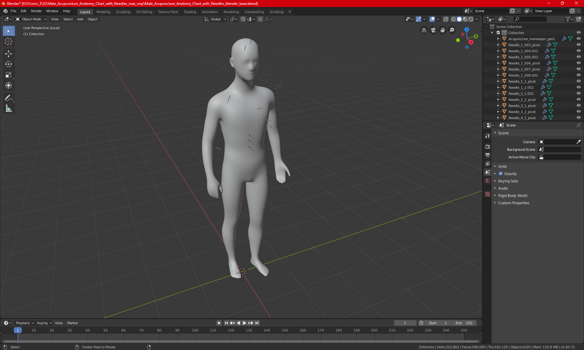 3D Male Acupuncture Anatomy Chart with Needles model