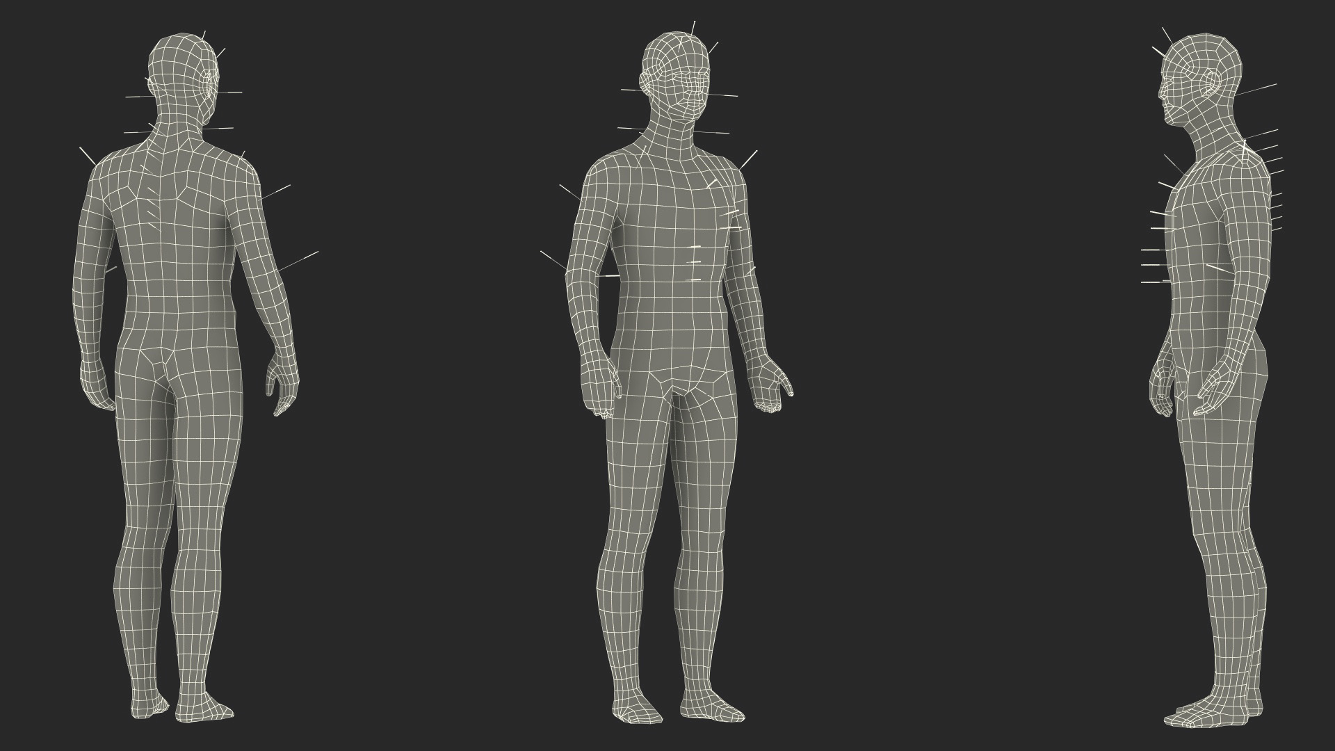 3D Male Acupuncture Anatomy Chart with Needles model