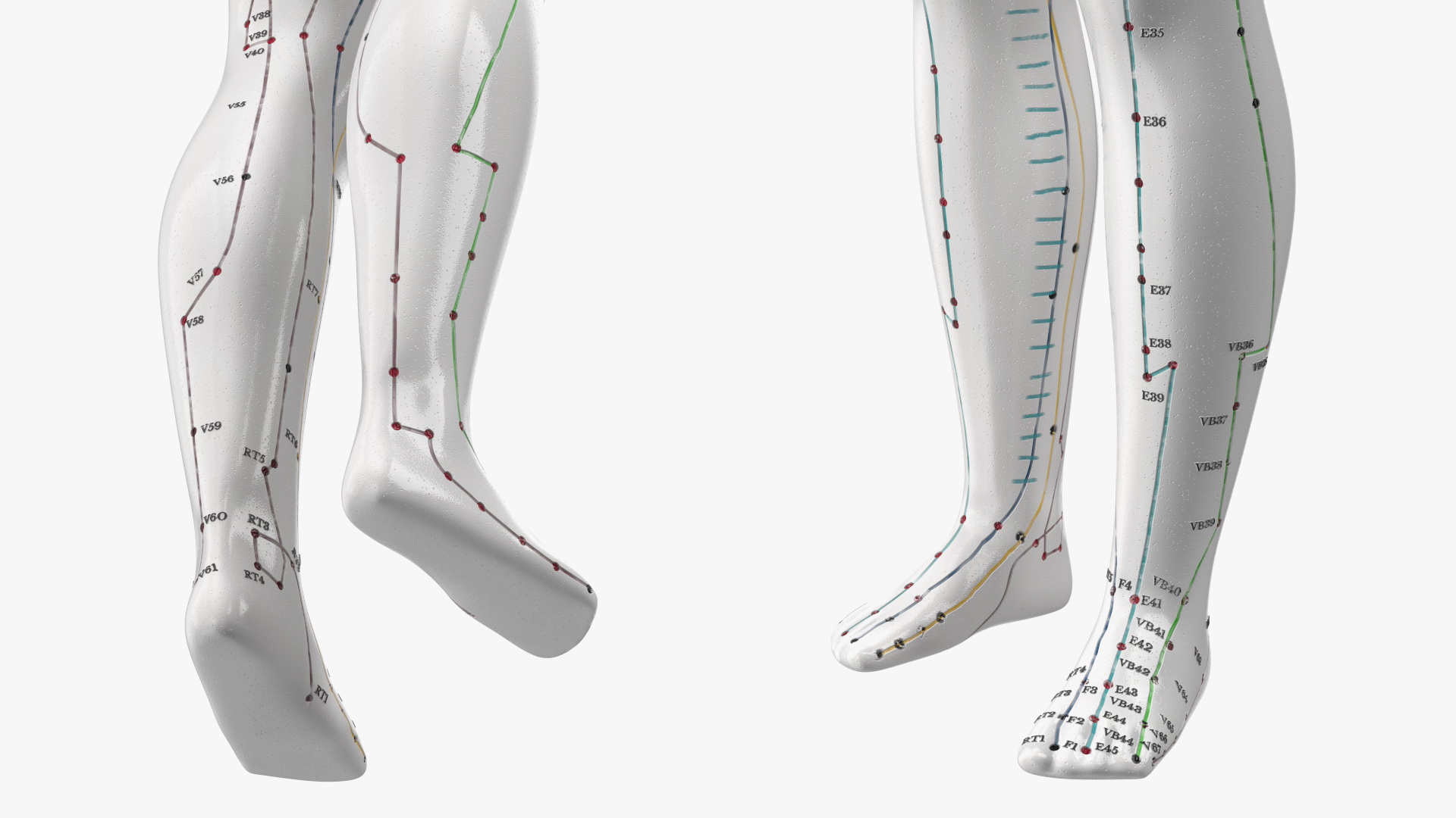 3D Male Acupuncture Anatomy Chart with Needles model