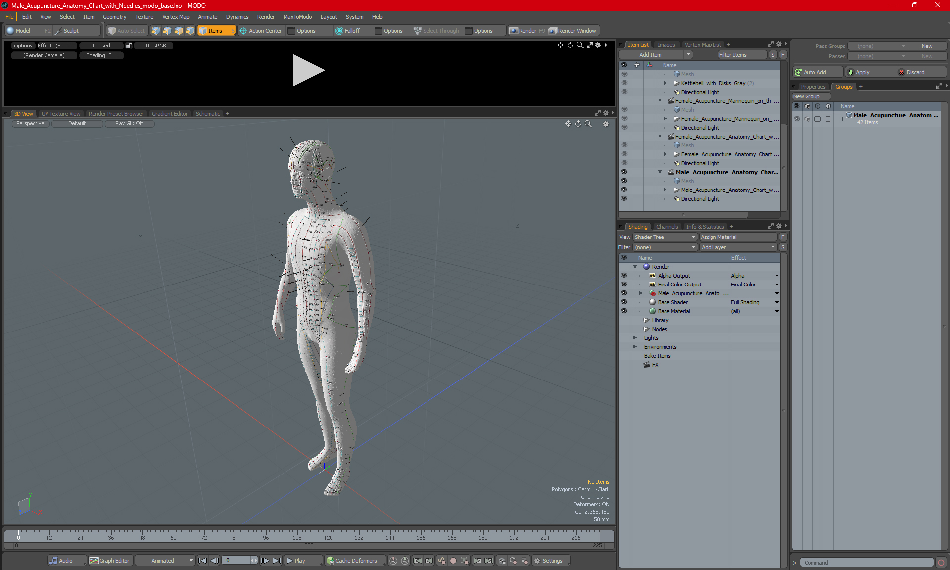 3D Male Acupuncture Anatomy Chart with Needles model