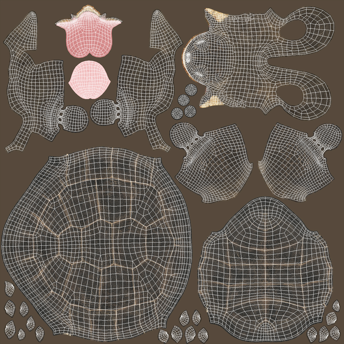 Turtle Chelonoidis Niger Set Animated Rigged - view 8