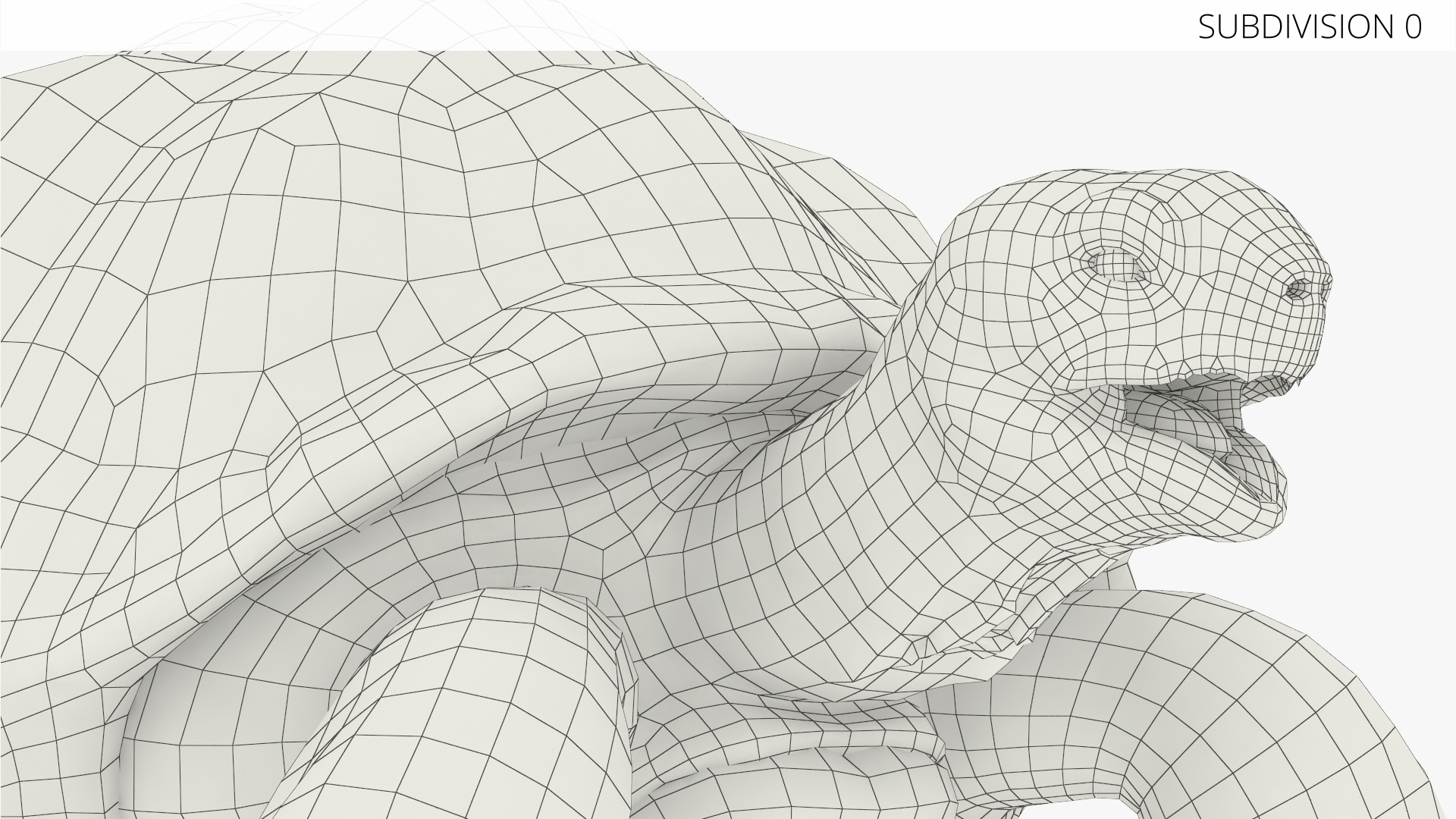 Turtle Chelonoidis Niger Set Animated Rigged - view 5