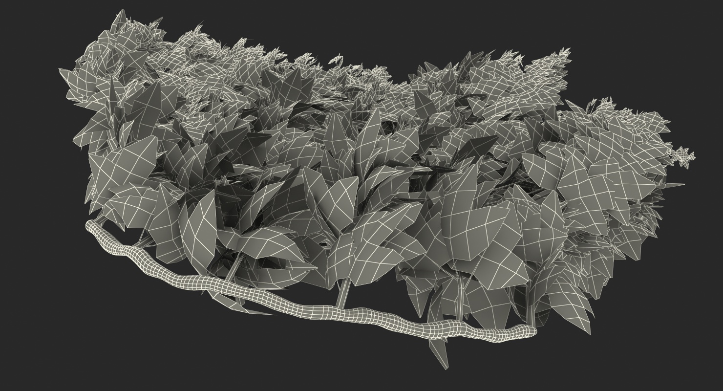 Ivy Hanging Greenery Bushes 3D