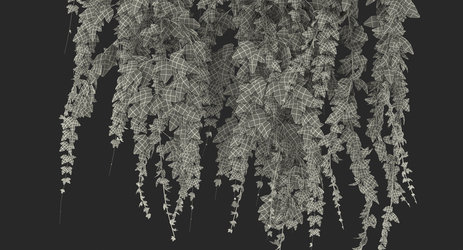 Ivy Hanging Greenery Bushes 3D