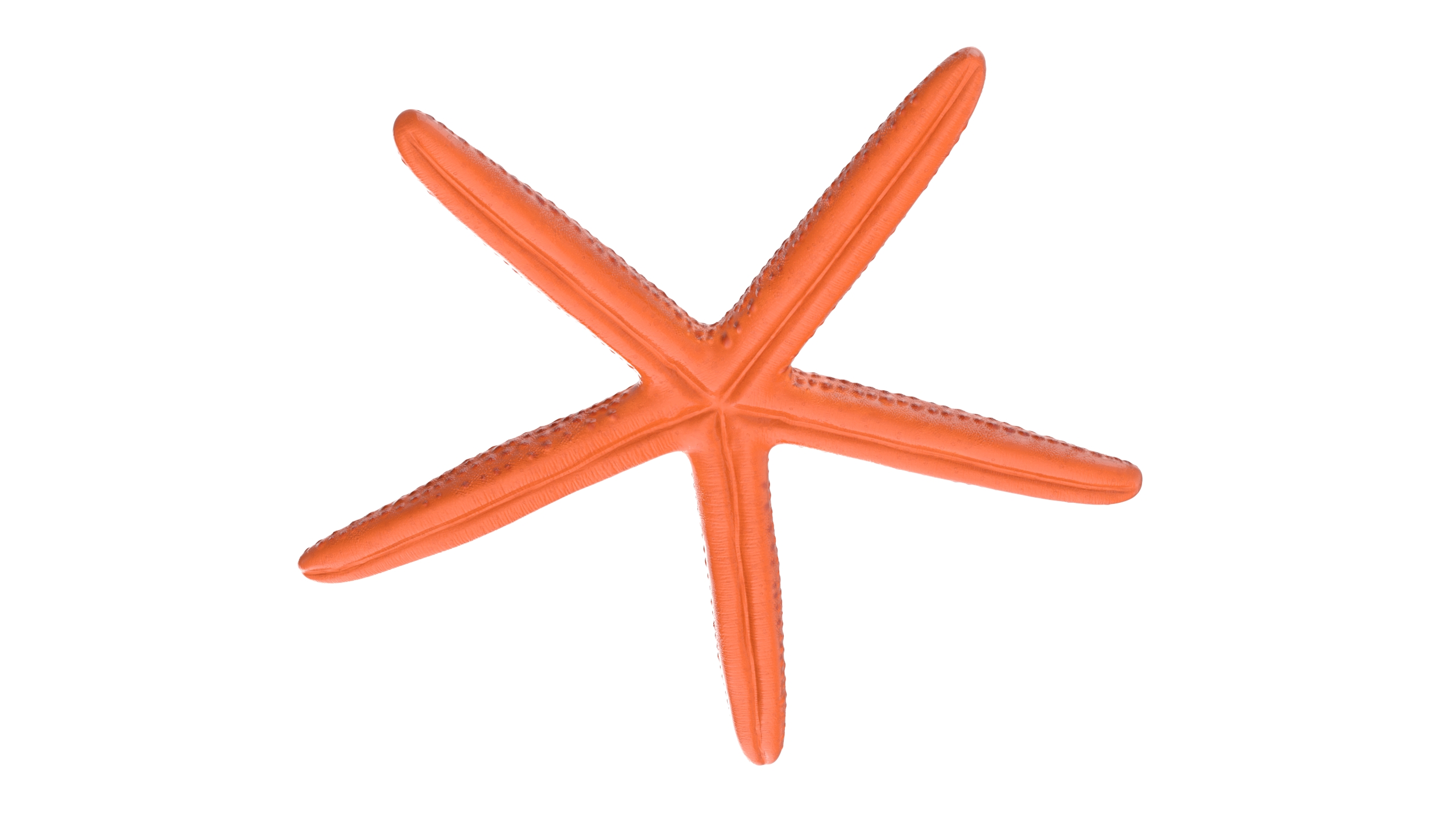 3D Red Sea Star Rigged for Cinema 4D model