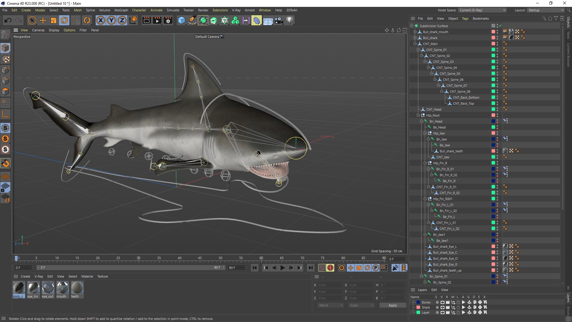 3D Realistic Bull Shark Rigged for Cinema 4D