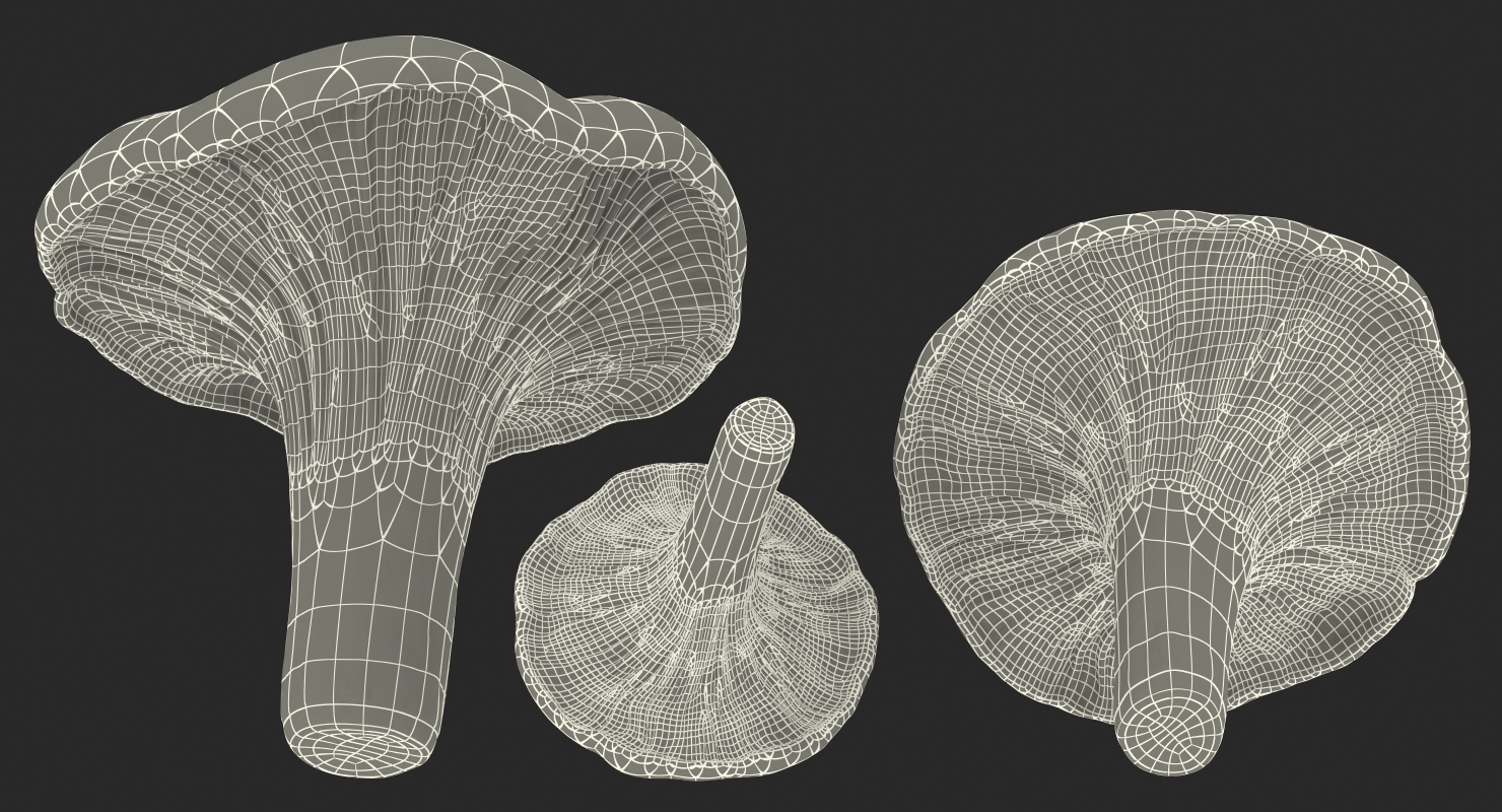 3D model Chanterelle Mushrooms Set