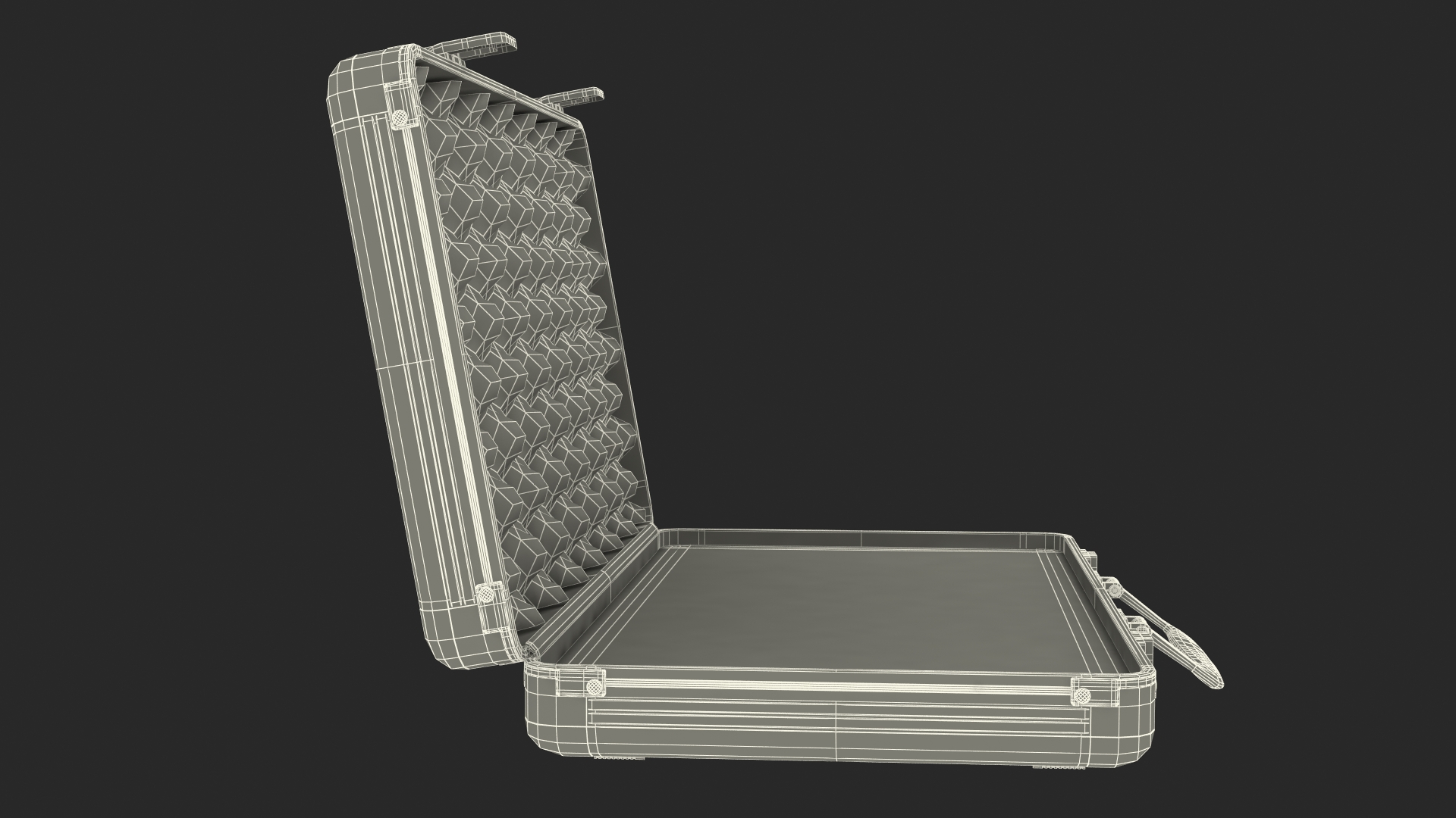 3D Aluminum Case with Foam model