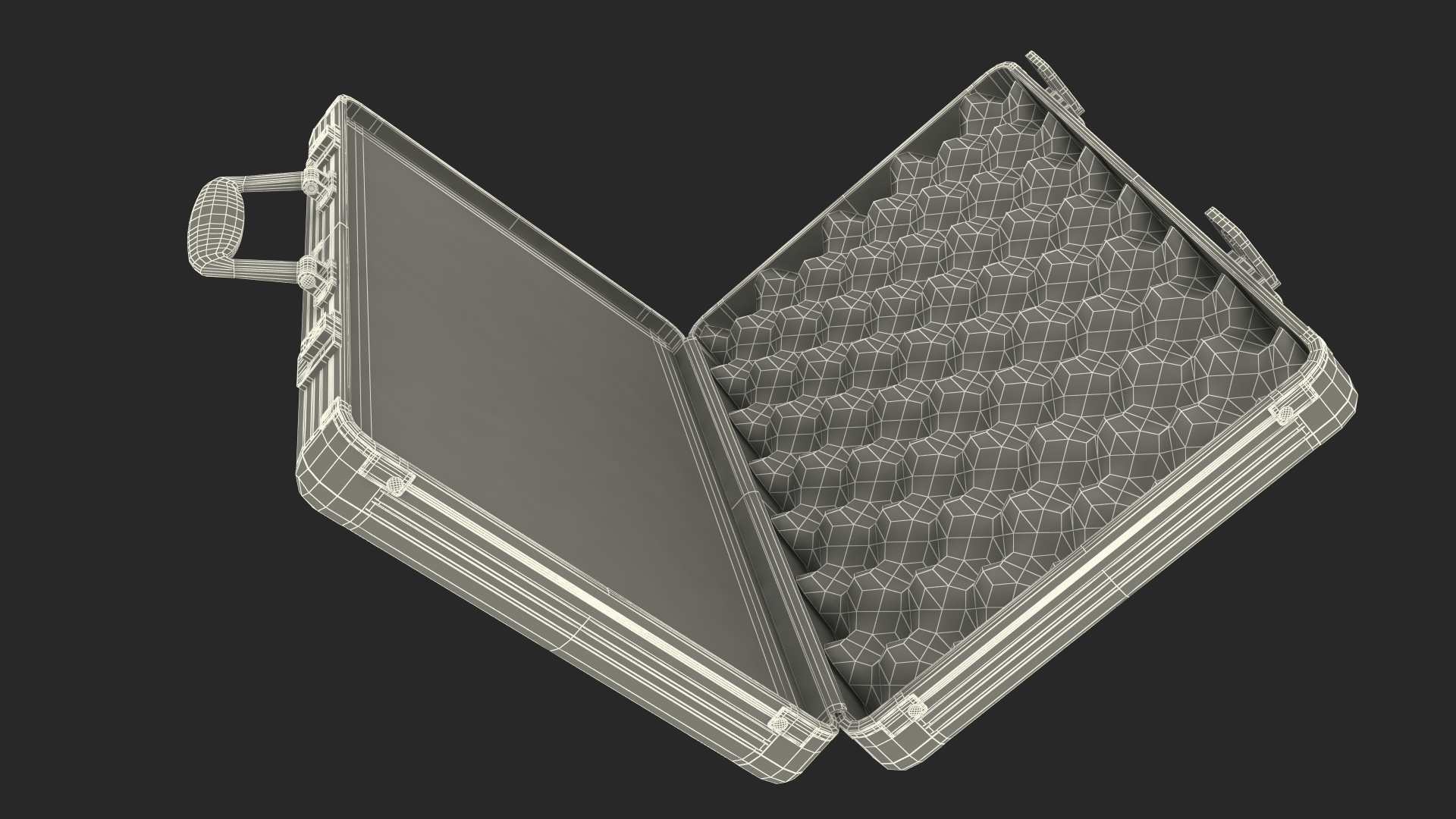3D Aluminum Case with Foam model