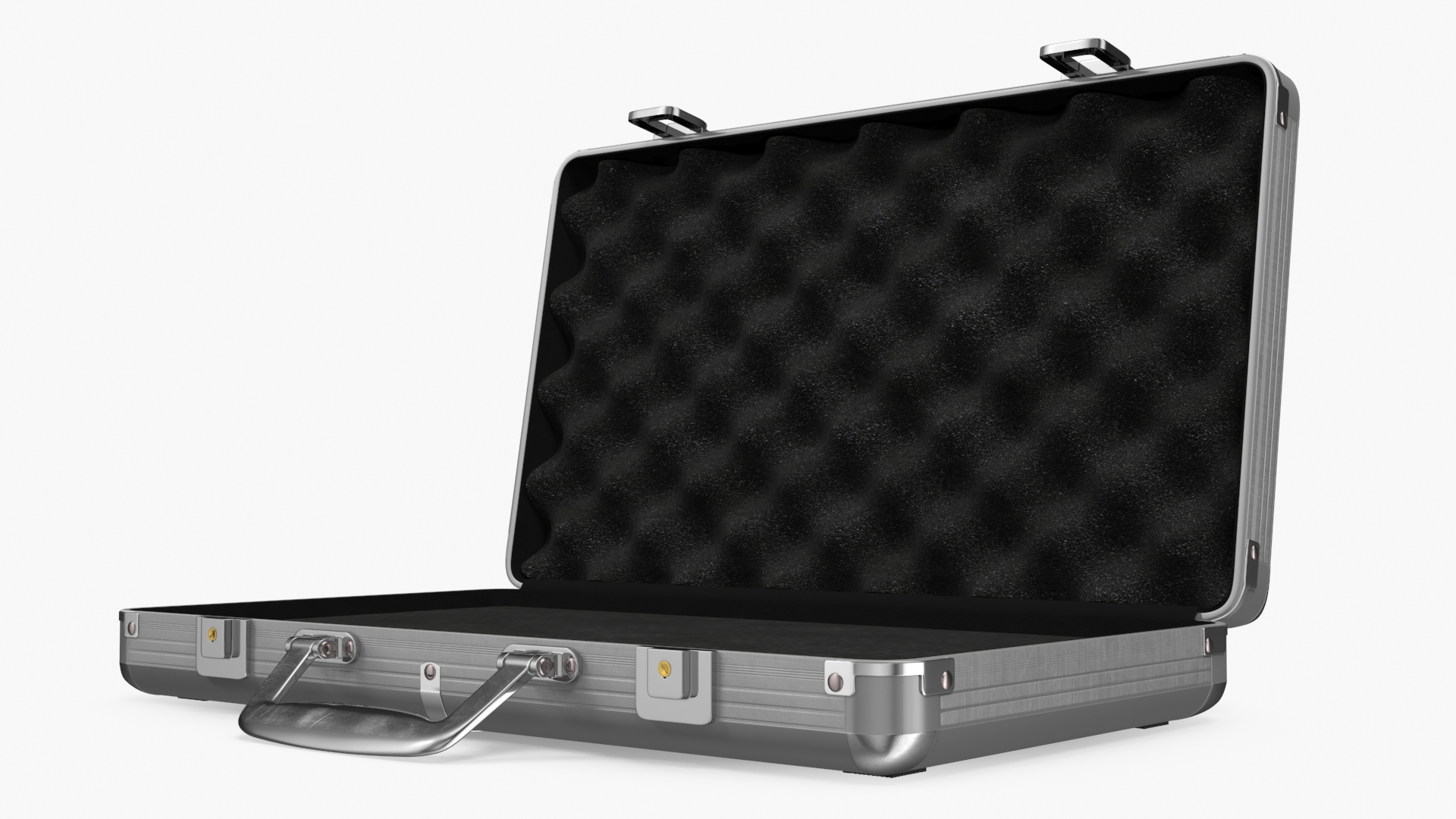 3D Aluminum Case with Foam model