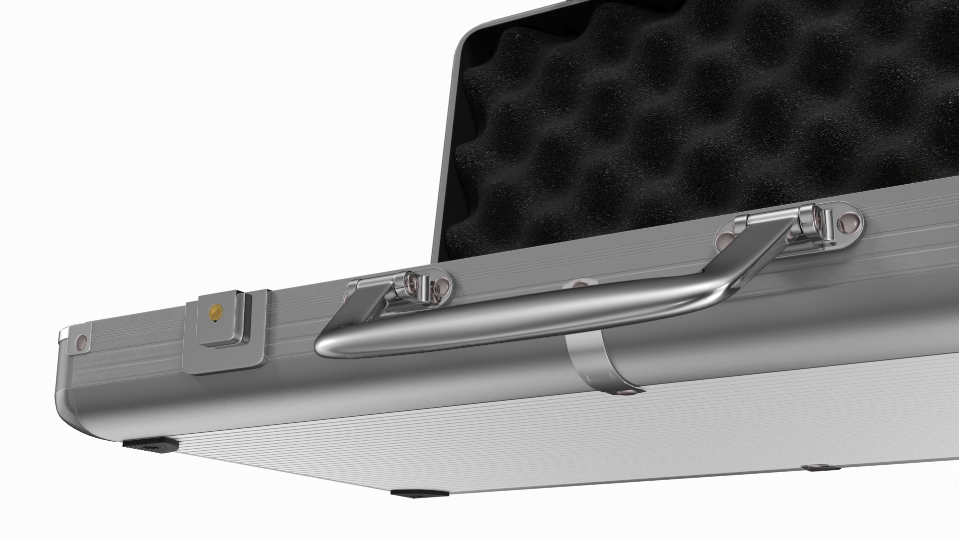 3D Aluminum Case with Foam model
