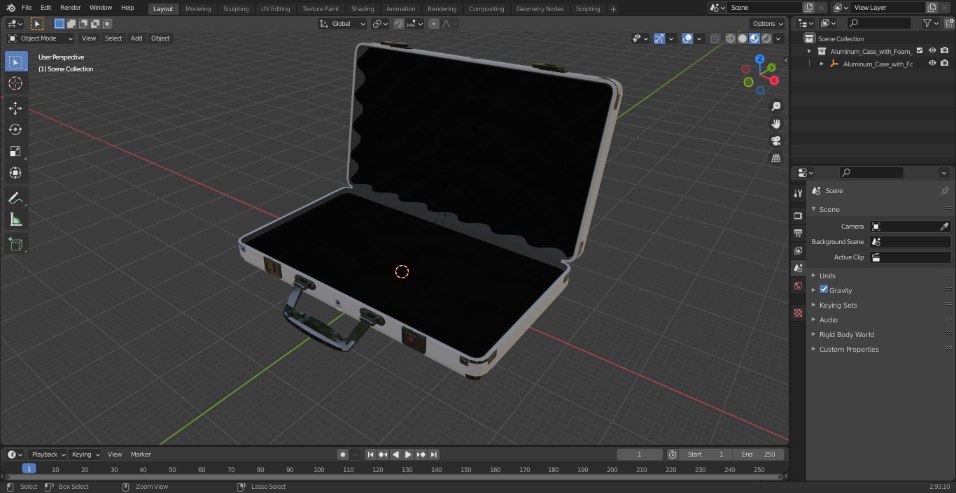 3D Aluminum Case with Foam model