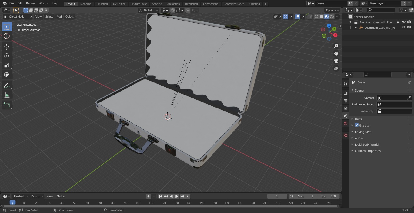 3D Aluminum Case with Foam model