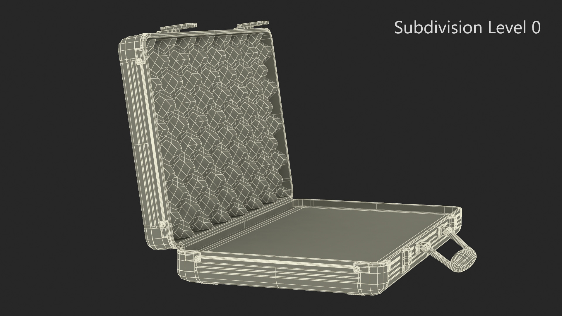 3D Aluminum Case with Foam model