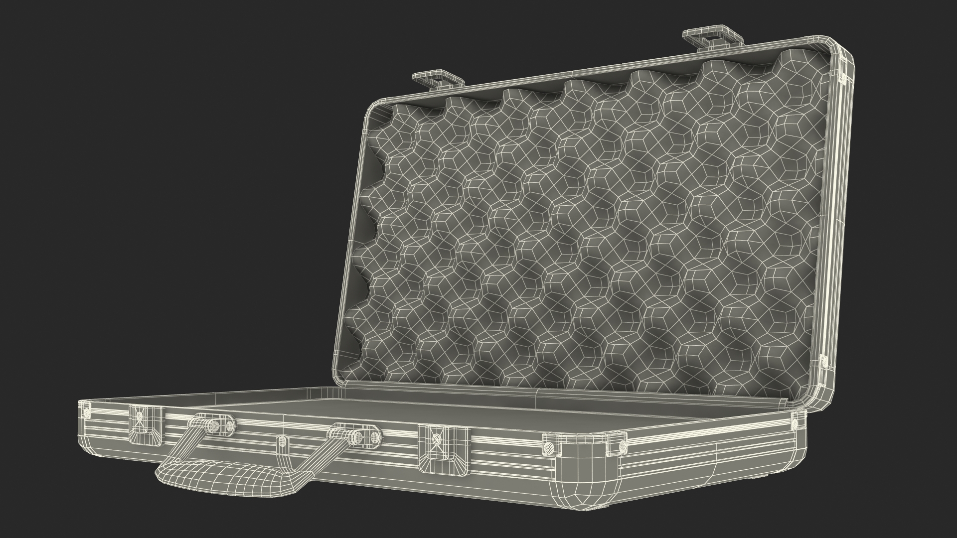 3D Aluminum Case with Foam model