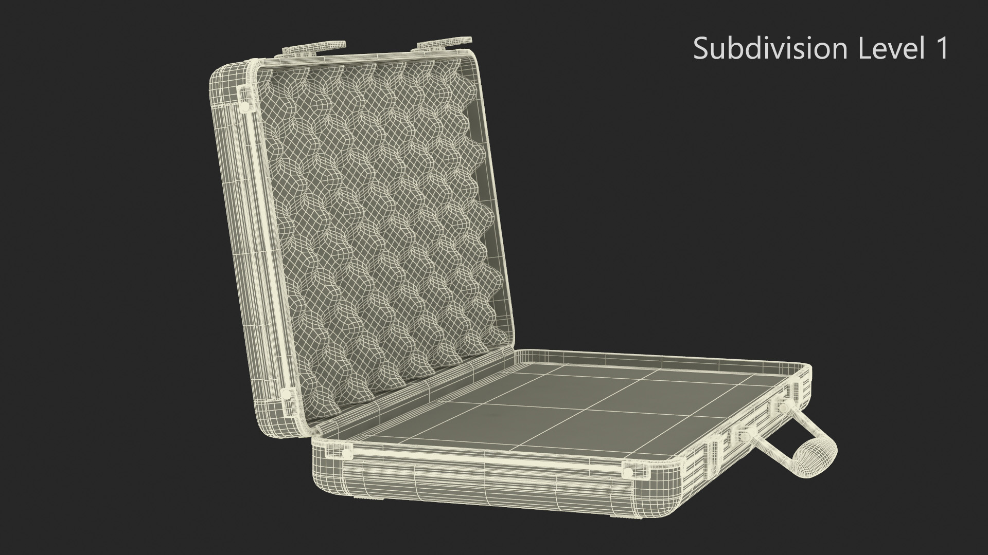 3D Aluminum Case with Foam model