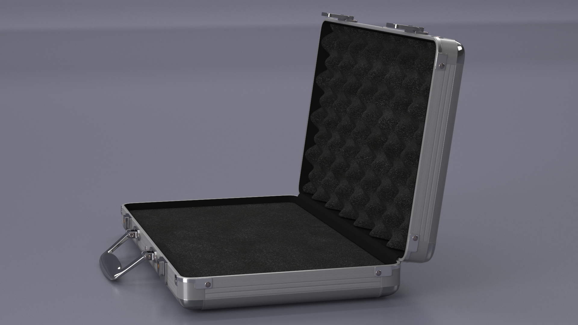 3D Aluminum Case with Foam model