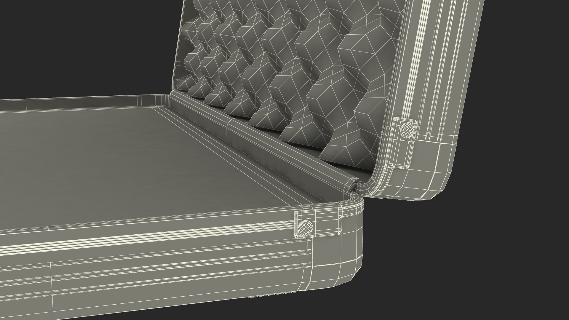 3D Aluminum Case with Foam model