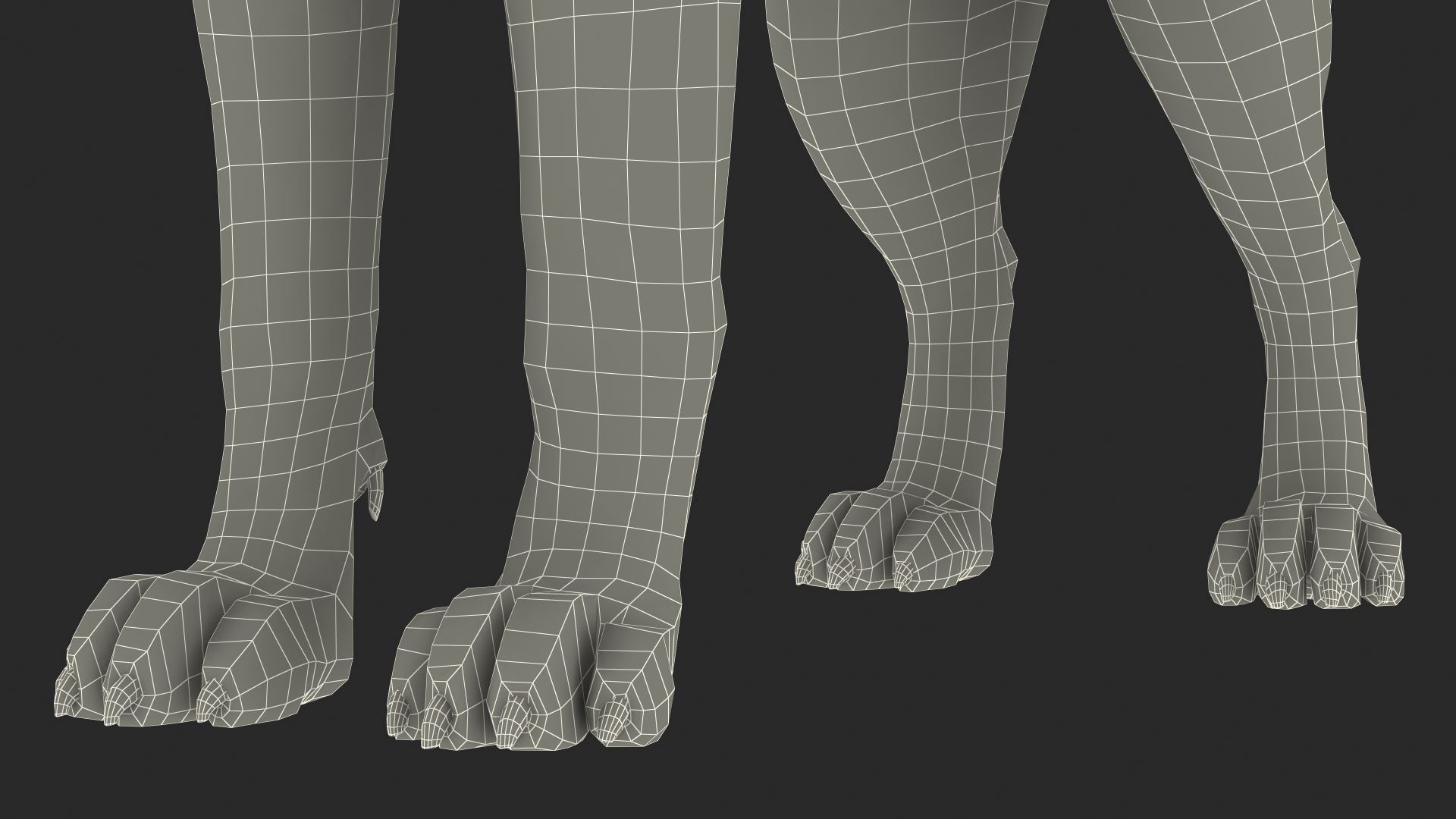 3D model Siberian Husky Gray and White Fur Rigged