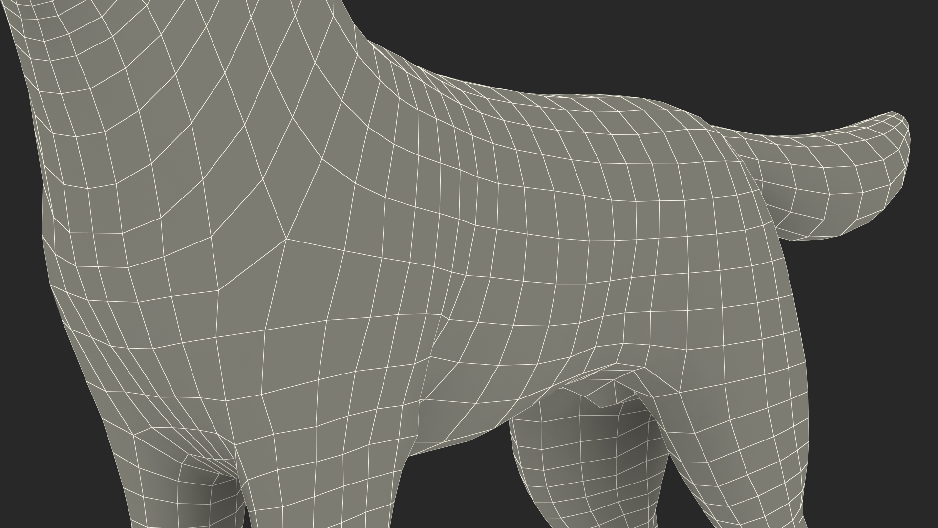 3D model Siberian Husky Gray and White Fur Rigged