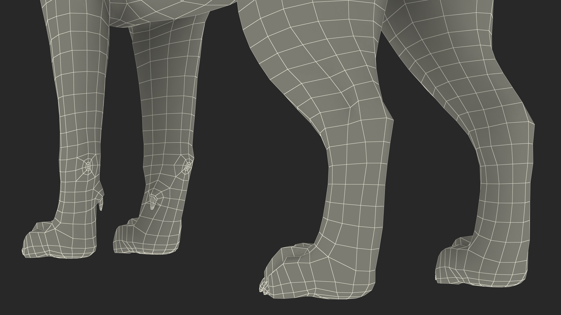 3D model Siberian Husky Gray and White Fur Rigged