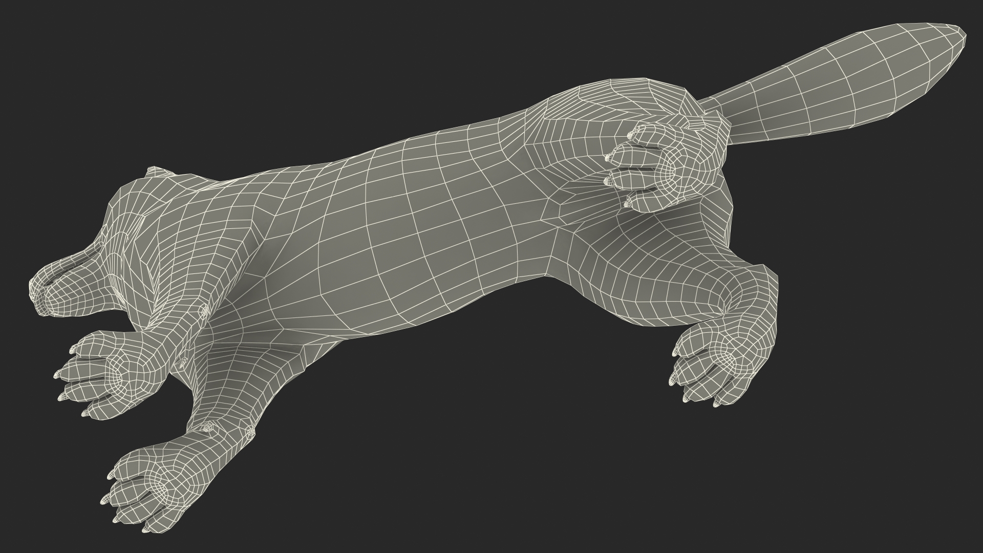 3D model Siberian Husky Gray and White Fur Rigged
