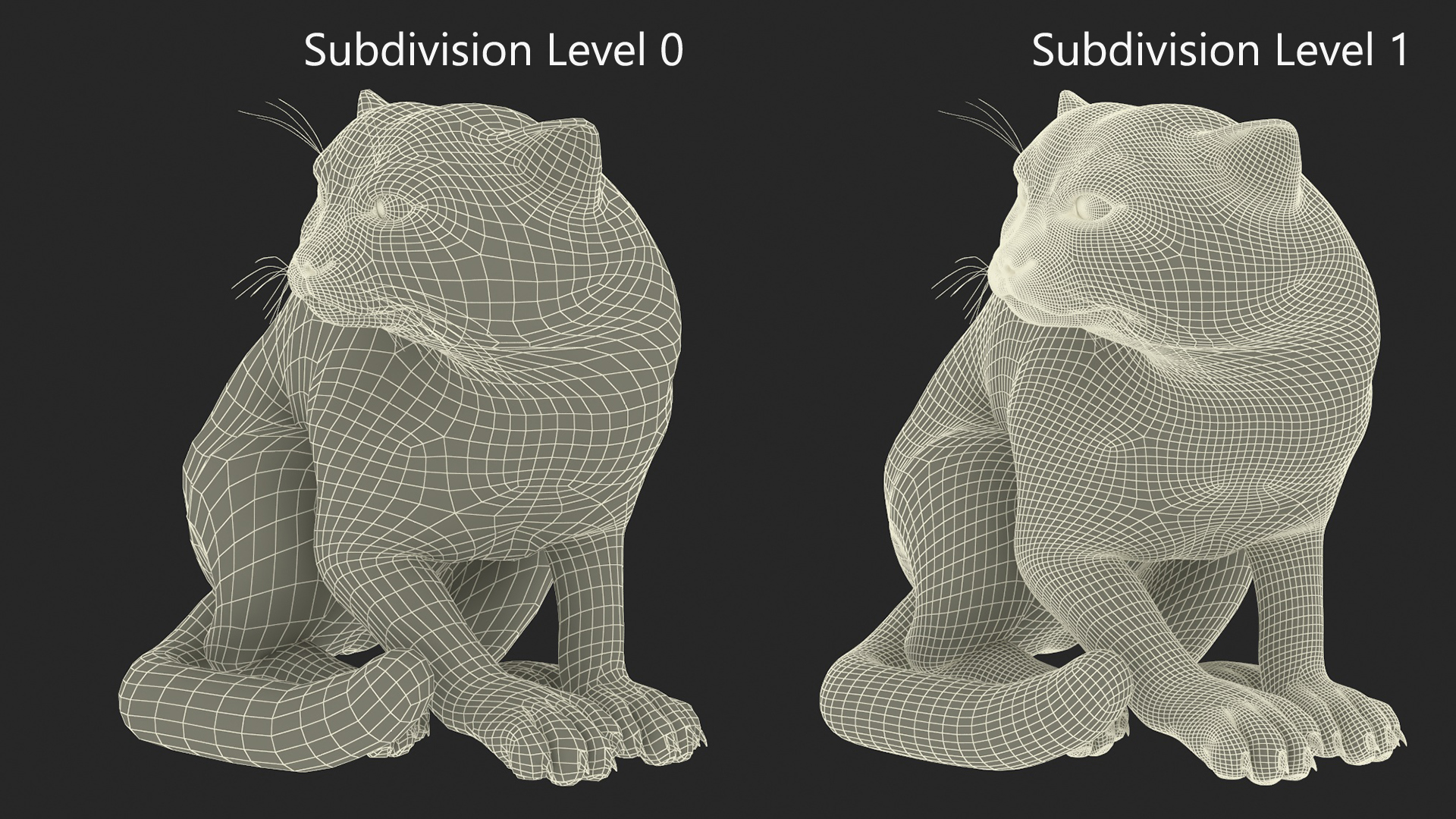 Manul Cat in Sitting Fur 3D model