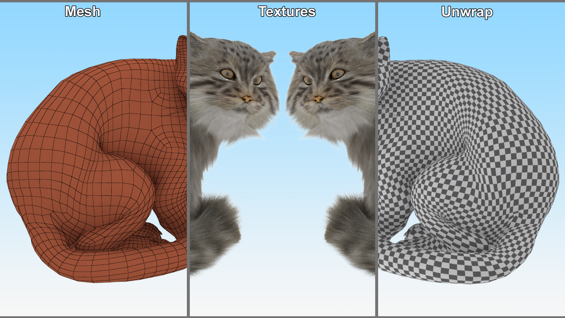 Manul Cat in Sitting Fur 3D model