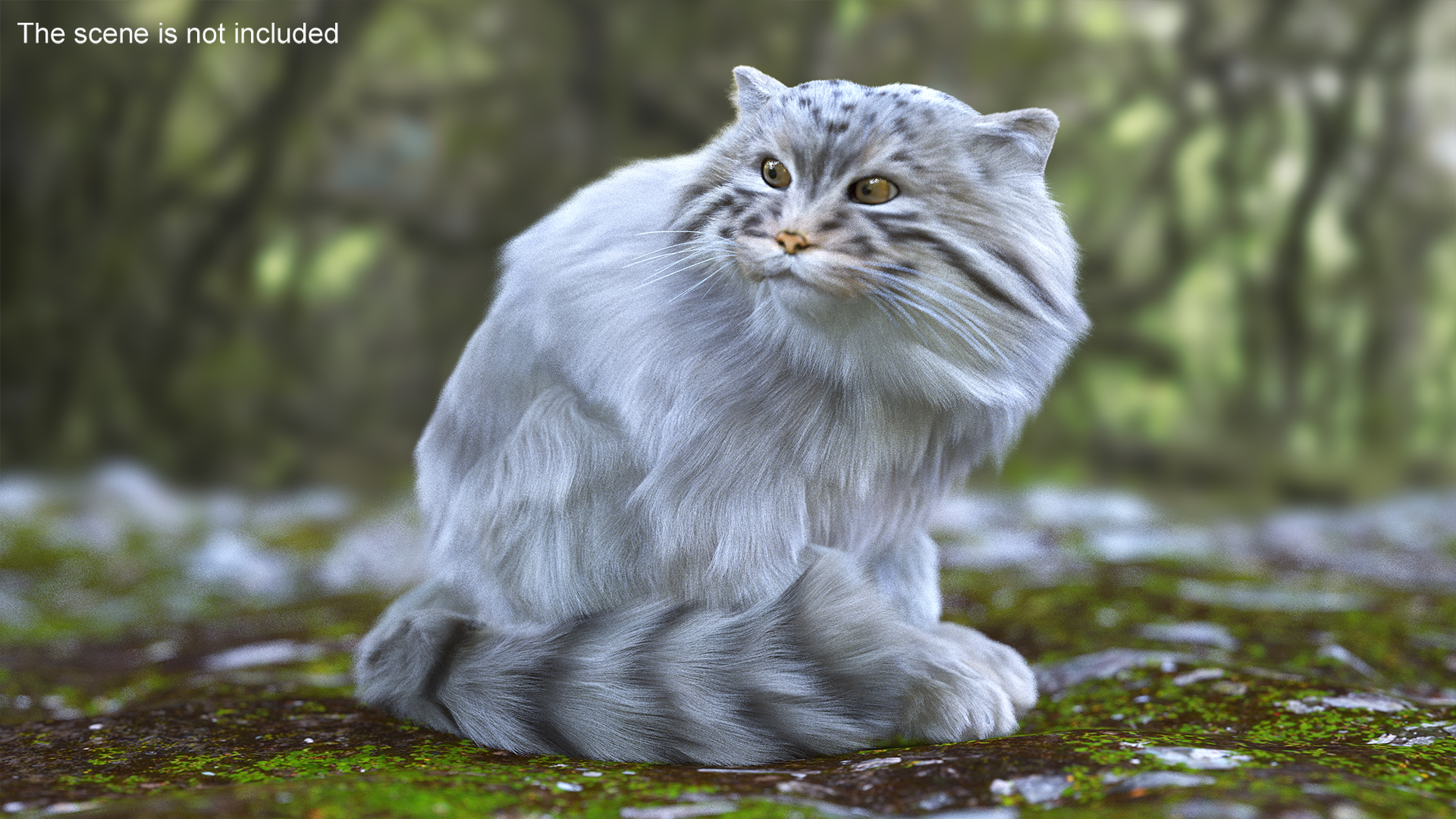 Manul Cat in Sitting Fur 3D model
