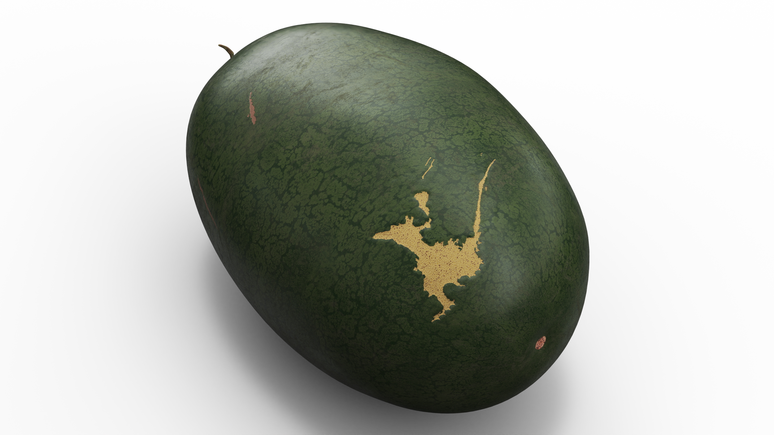 3D Watermelon Dark Green