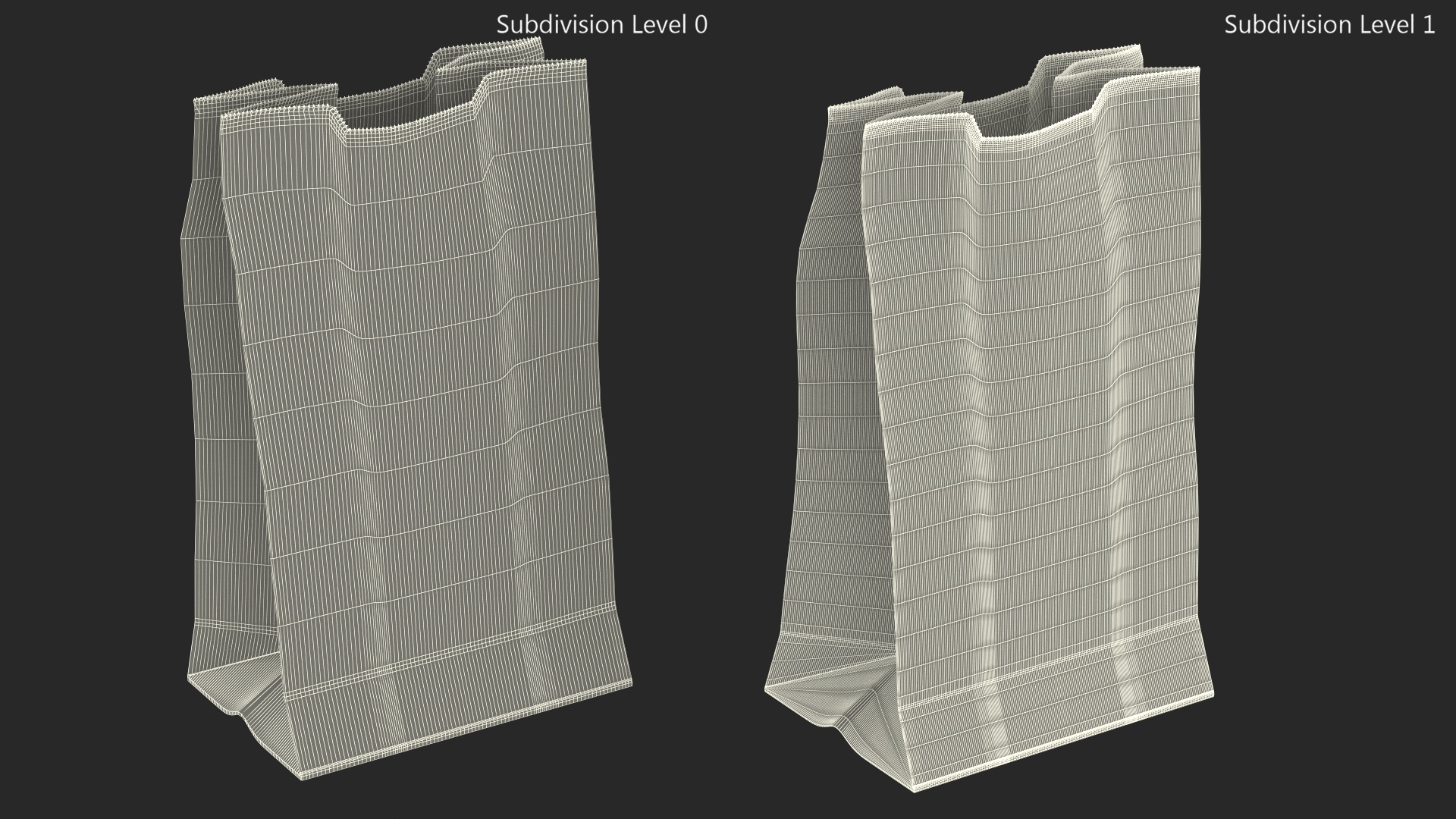 Paper Grocery Bag 3D