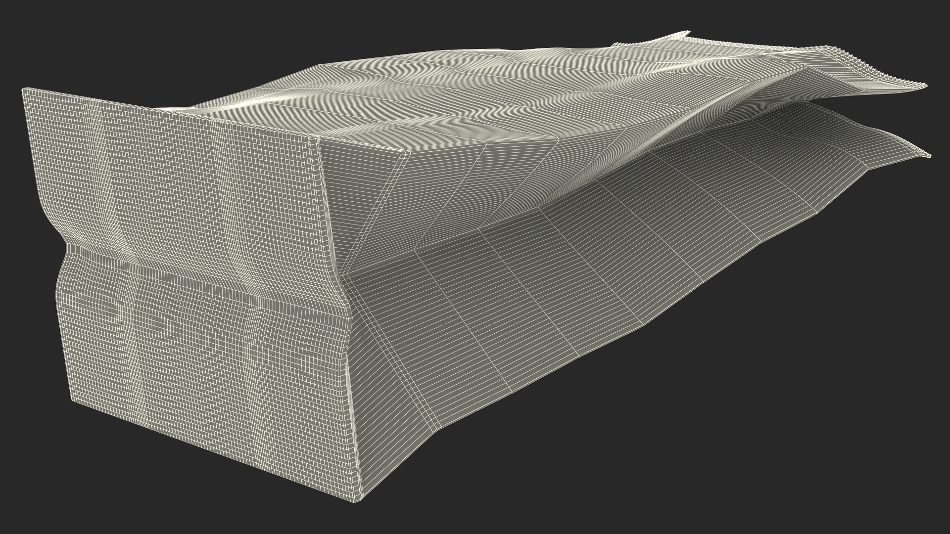 Paper Grocery Bag 3D