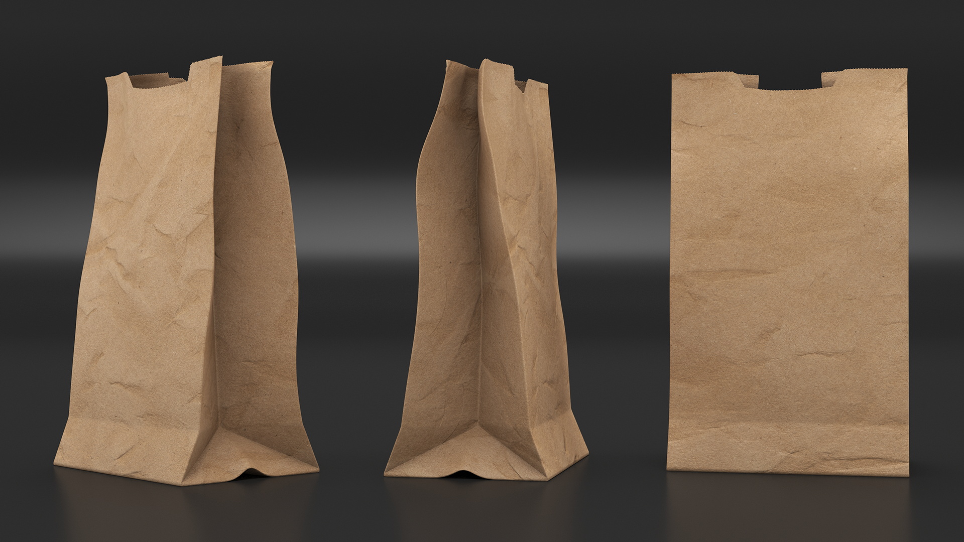 Paper Grocery Bag 3D