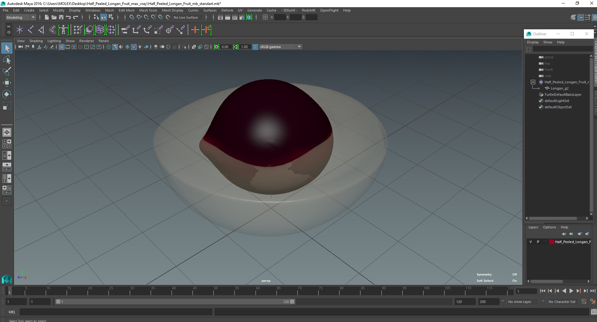 Half Peeled Longan Fruit 3D model
