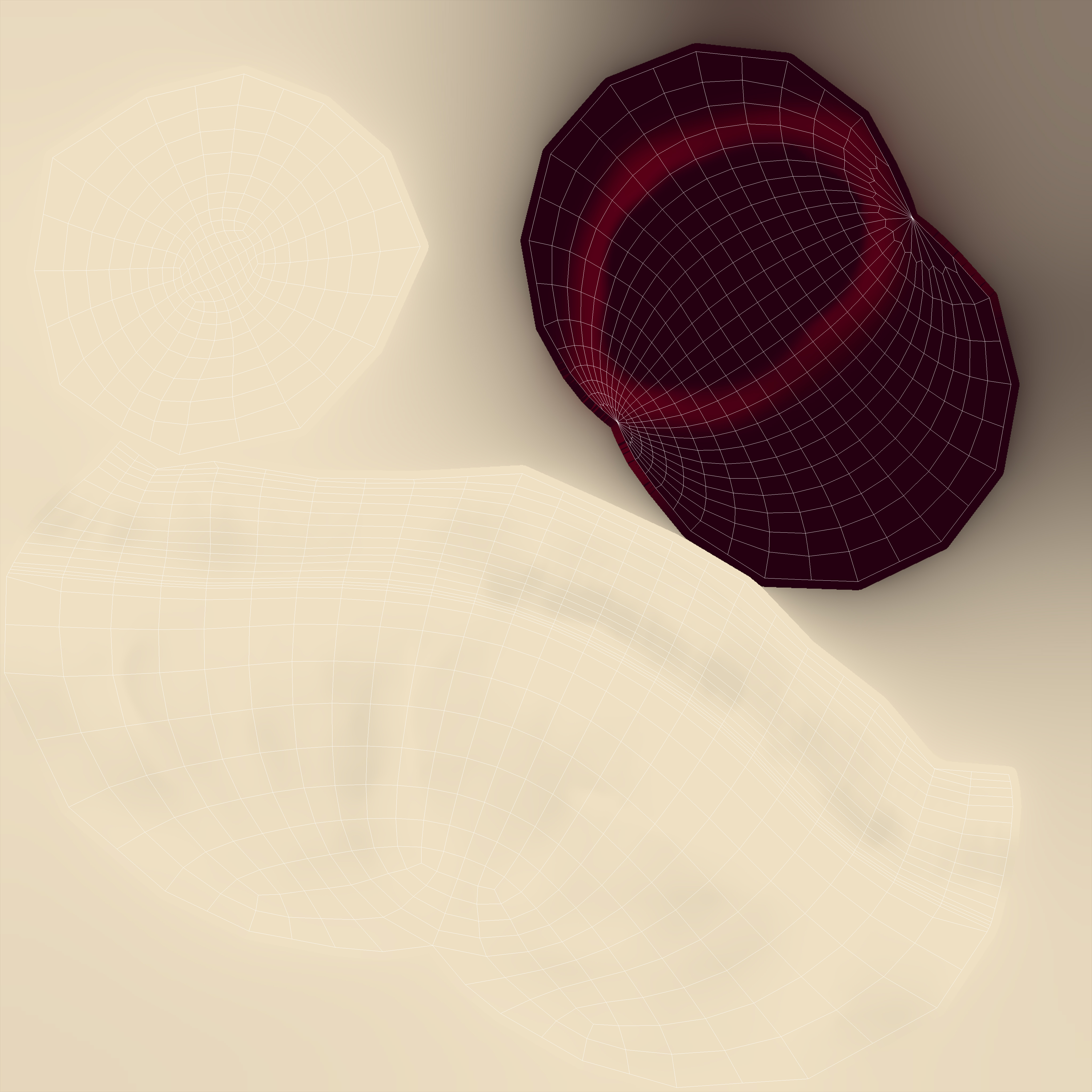 Half Peeled Longan Fruit 3D model