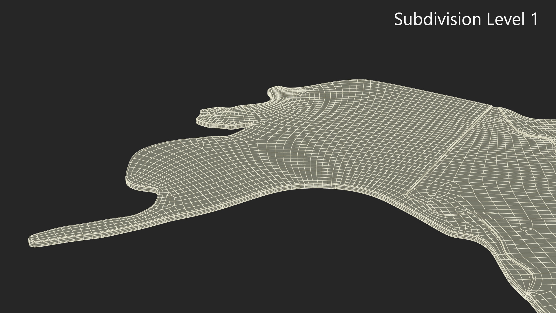 Wood Created World Map 3D