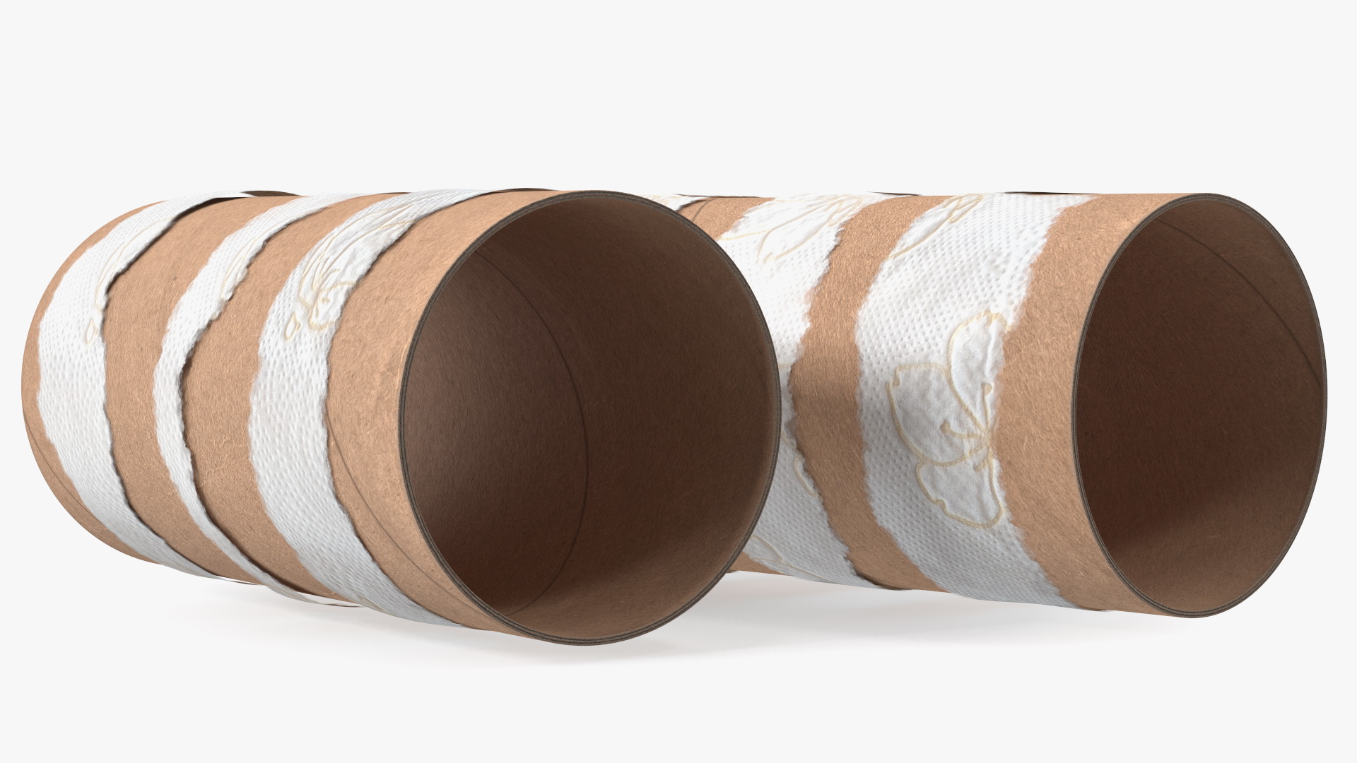 Empty Toilet Paper Tubes 3D model
