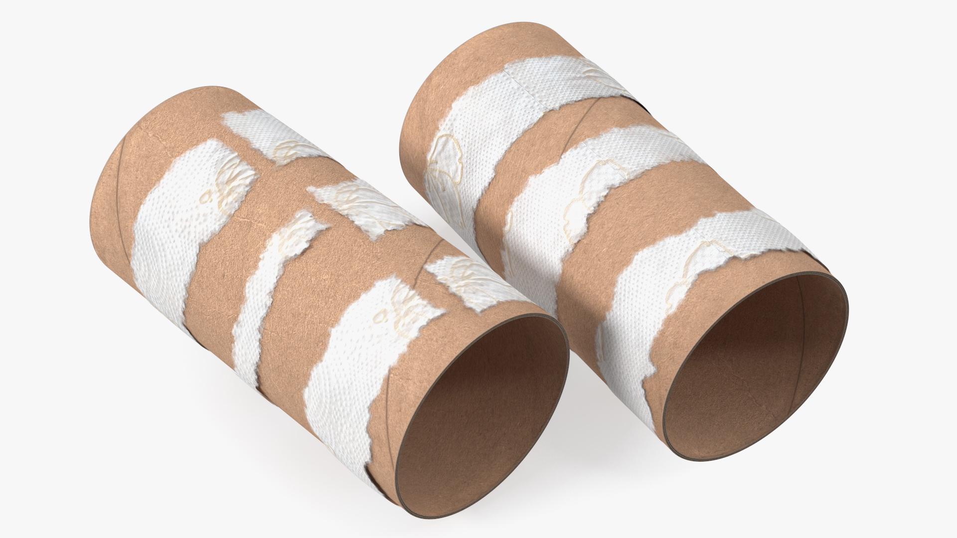 Empty Toilet Paper Tubes 3D model