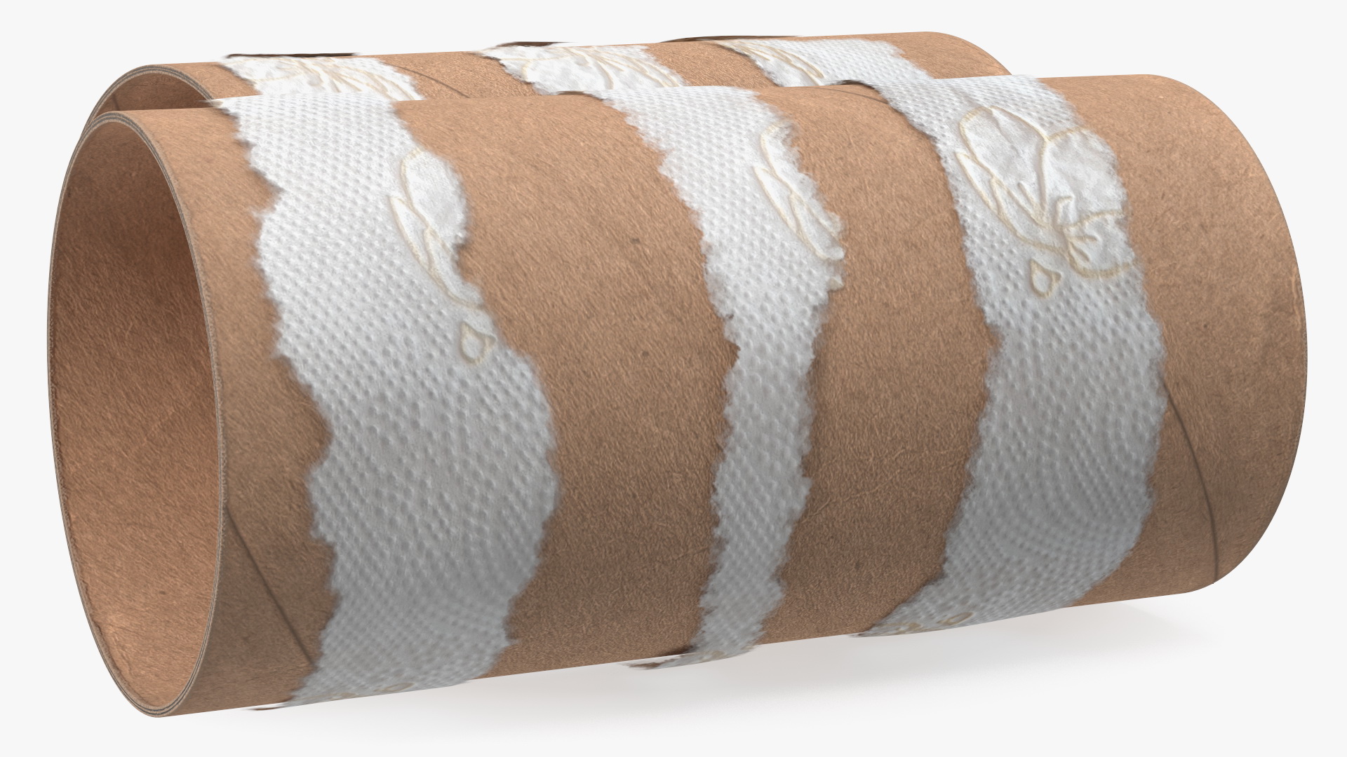 Empty Toilet Paper Tubes 3D model