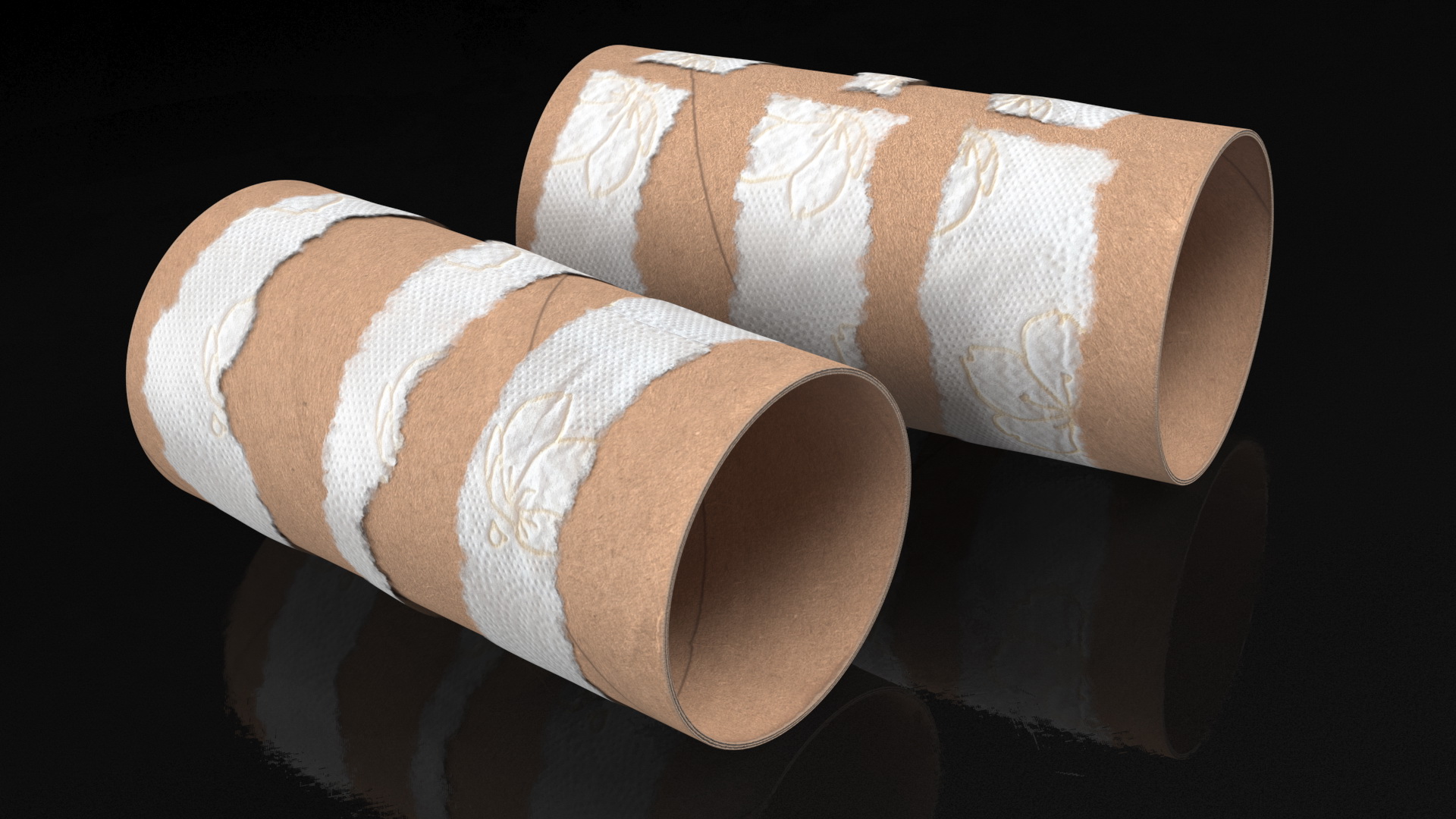 Empty Toilet Paper Tubes 3D model