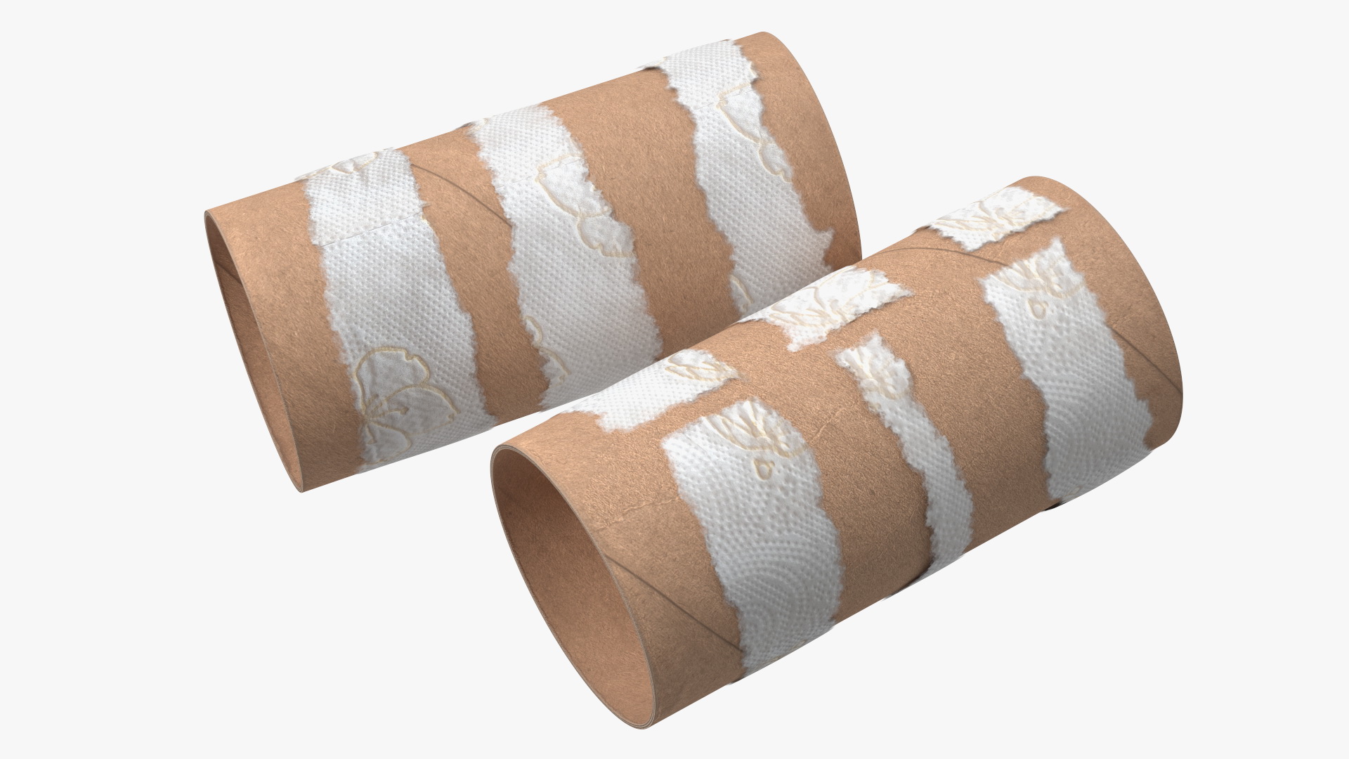 Empty Toilet Paper Tubes 3D model