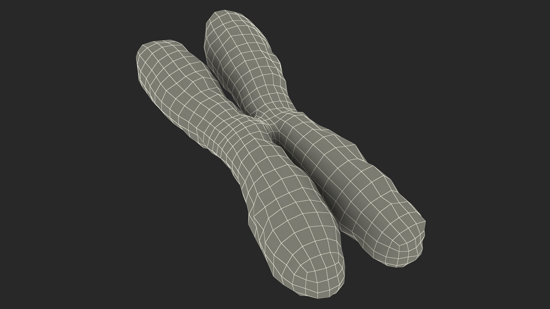 3D Human X Chromosome model